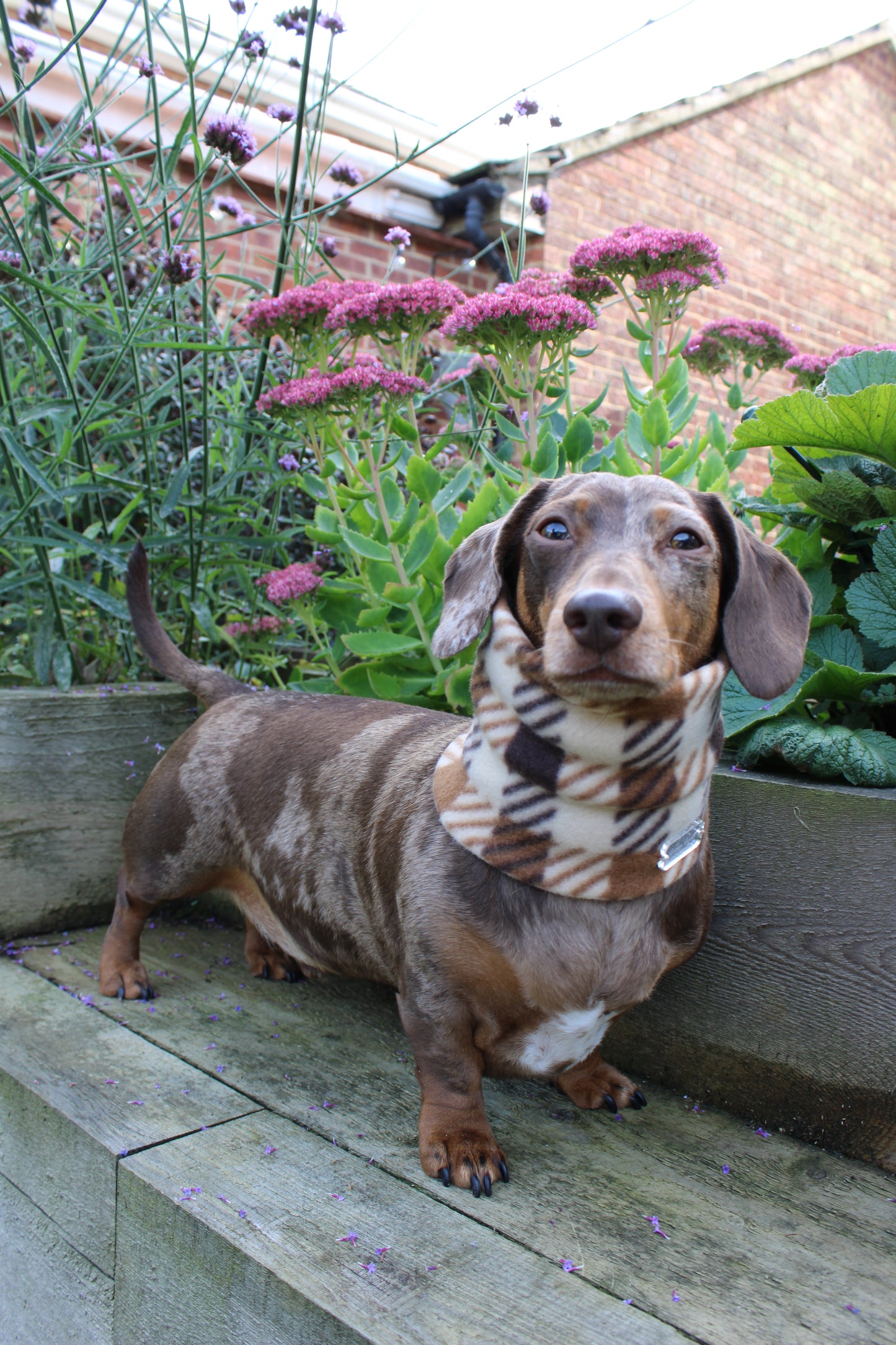 Brown Plaid Fleece Snood