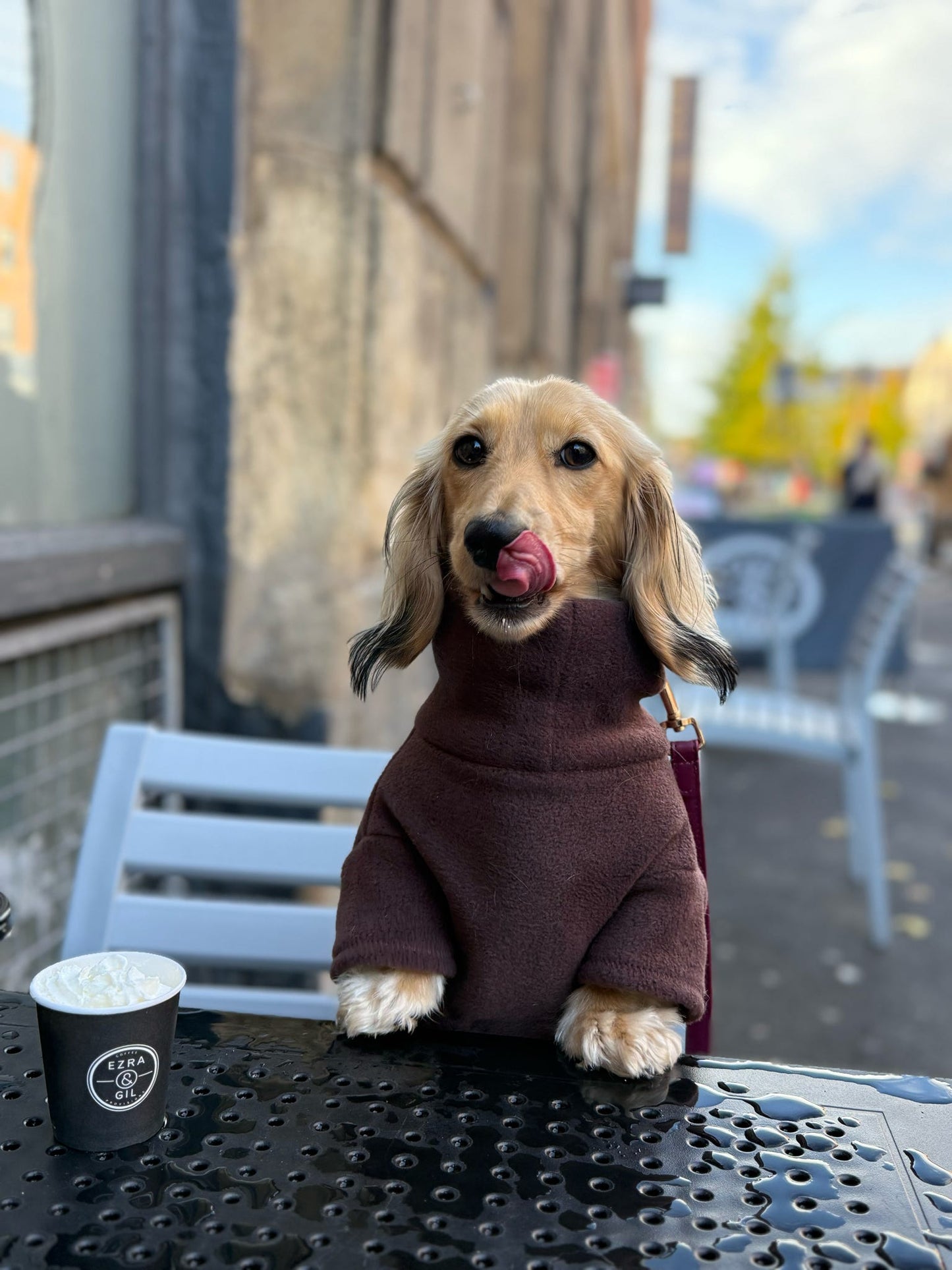 Chocolate Fleece Jumper