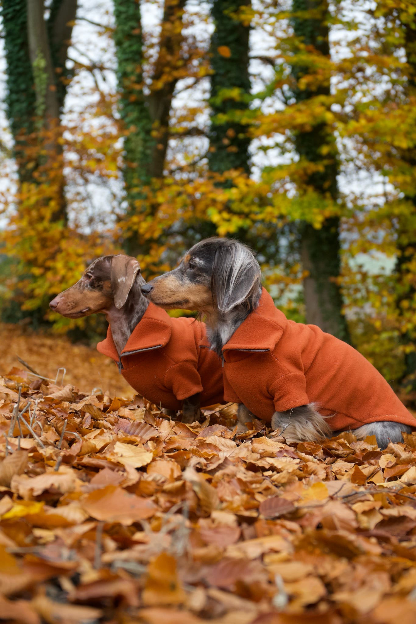 Rust Quarter Zip Fleece Jumper