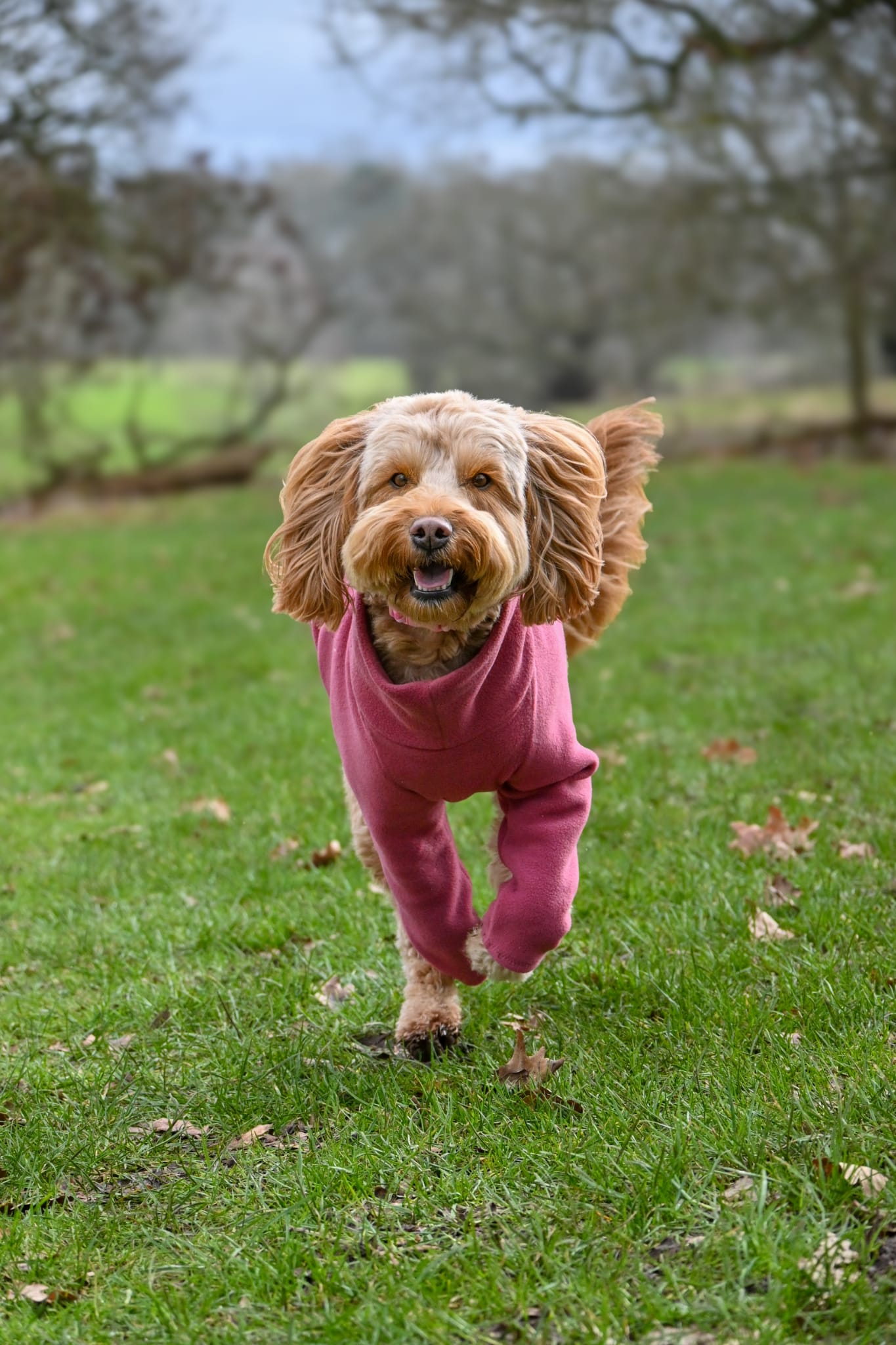 Raspberry 4 Leg Fleece Jumper