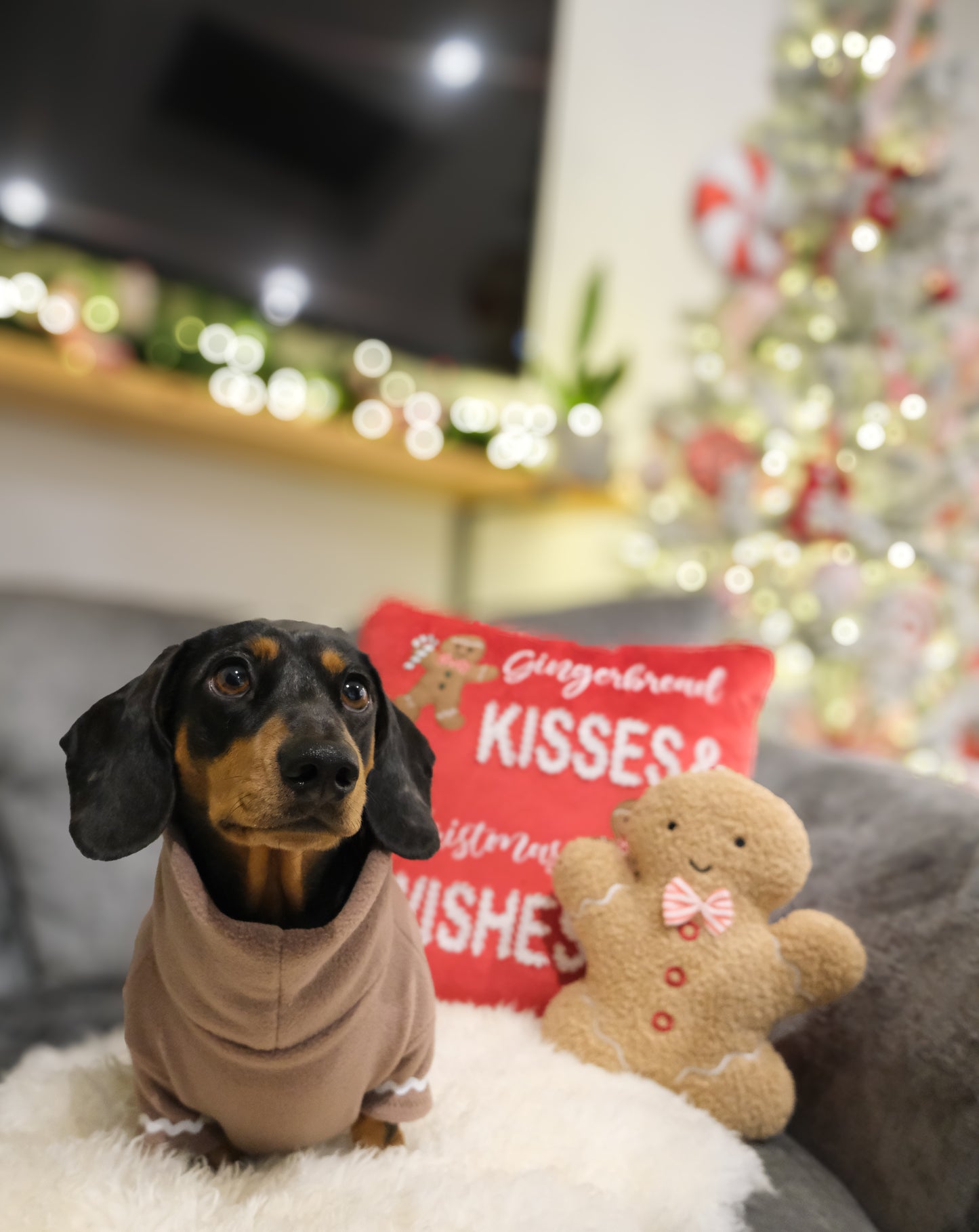 Gingerbread Fleece Jumper