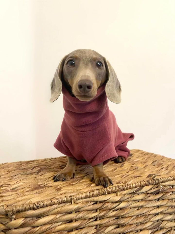 Raspberry 4 Leg Fleece Jumper