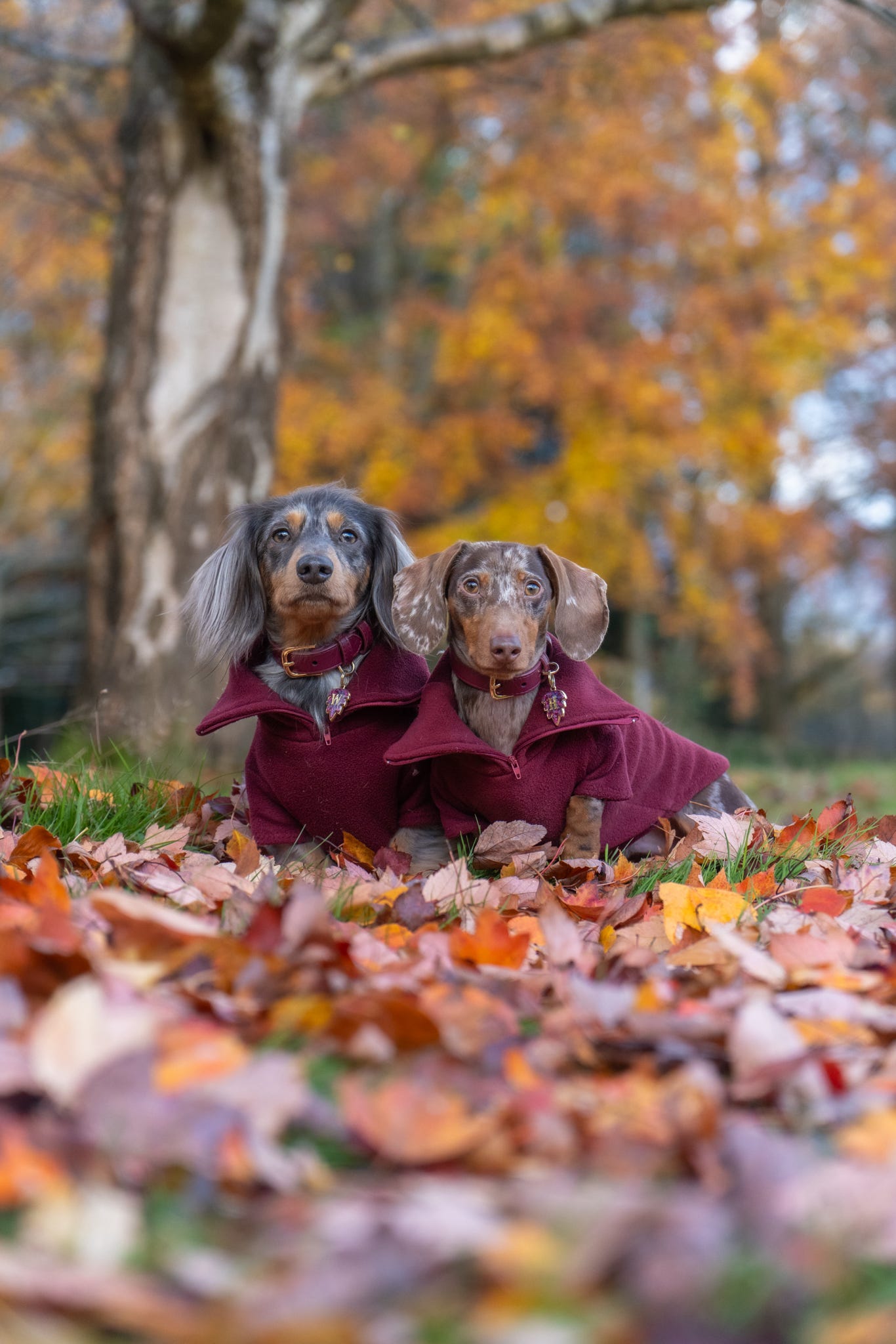 Wine Quarter Zip Fleece Jumper