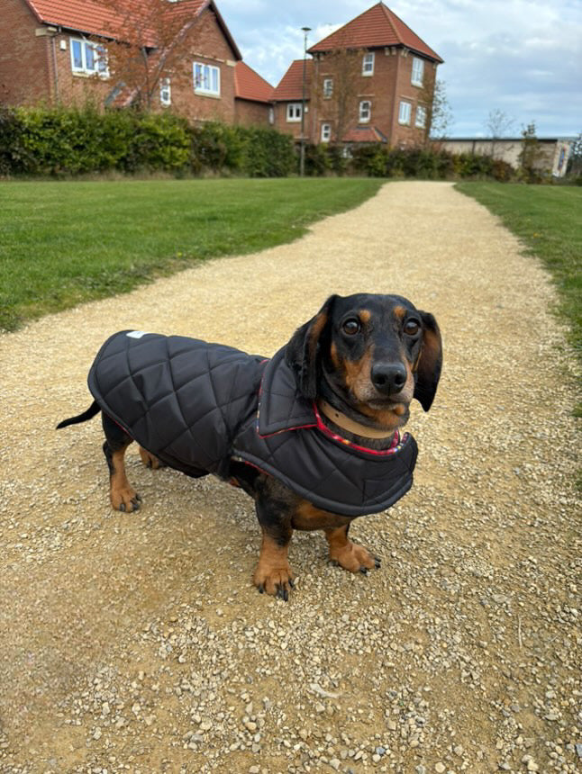 Black Quilted Coat with Borg Lining