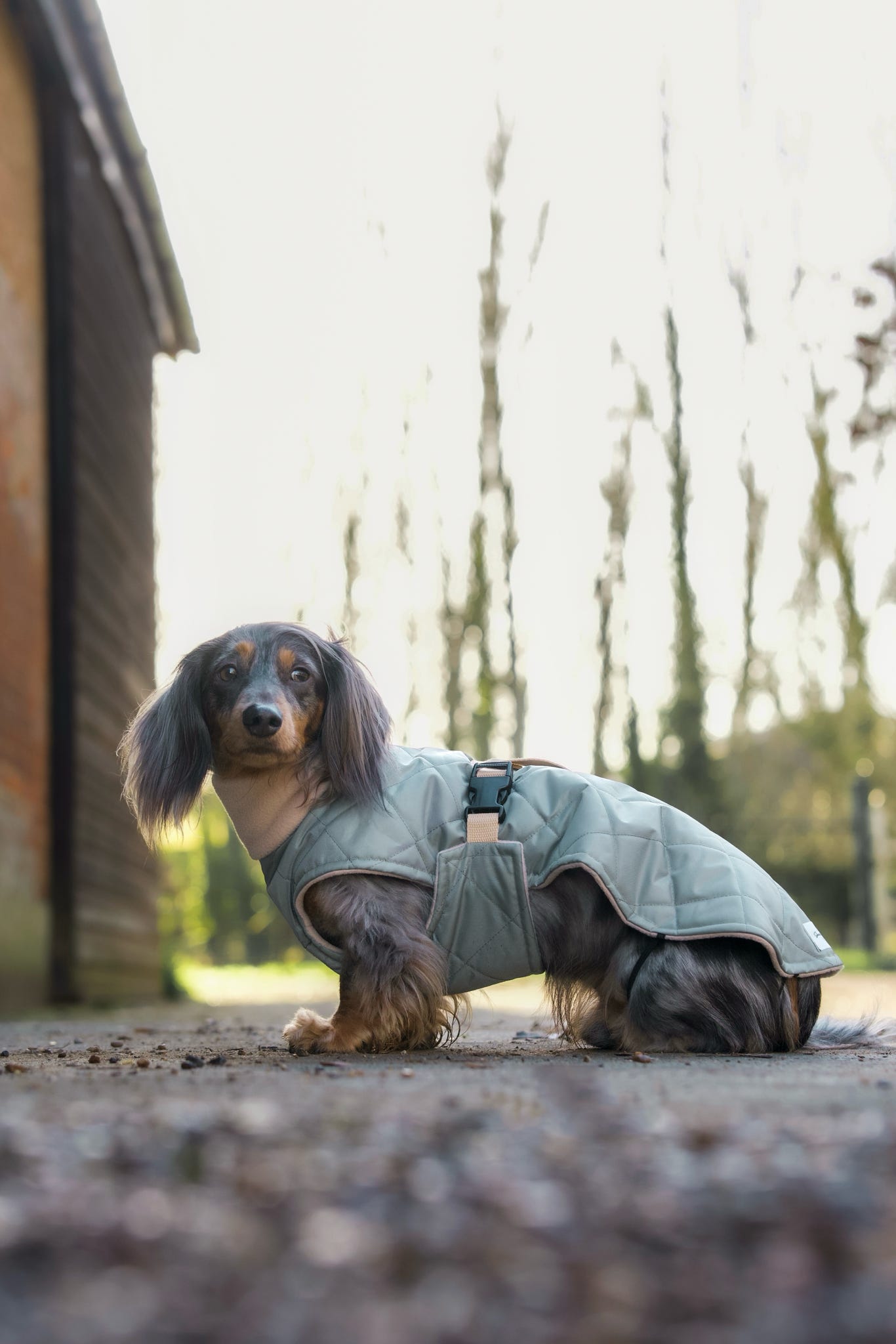 Sage Quilted Full Tummy Coat with Fleece Lining