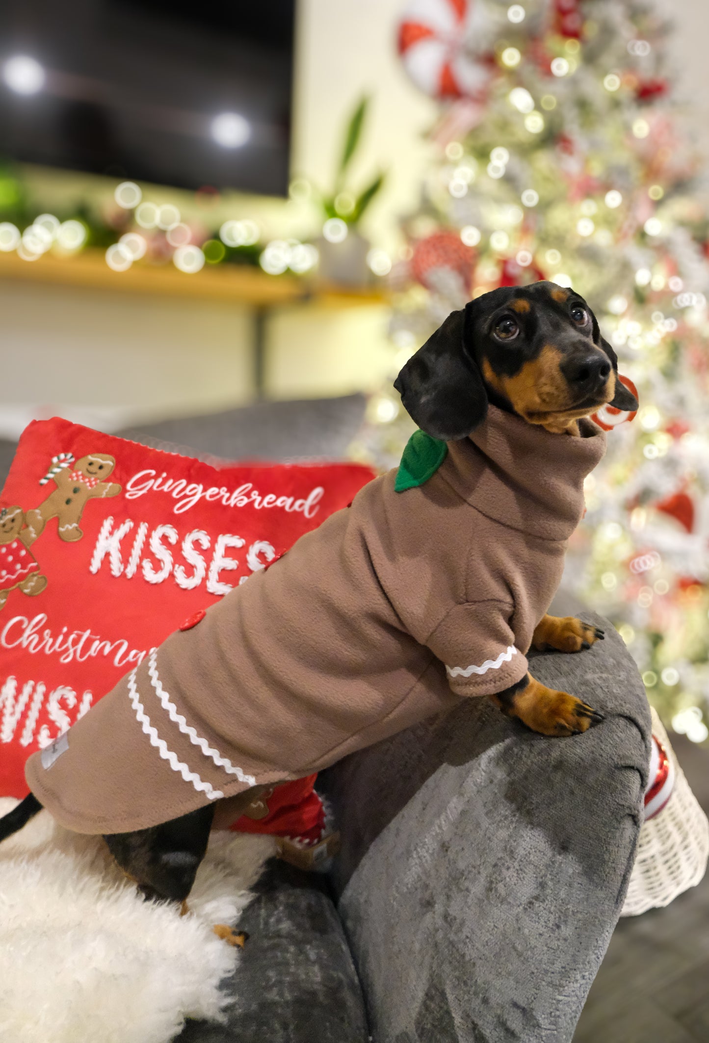 Gingerbread Fleece Jumper