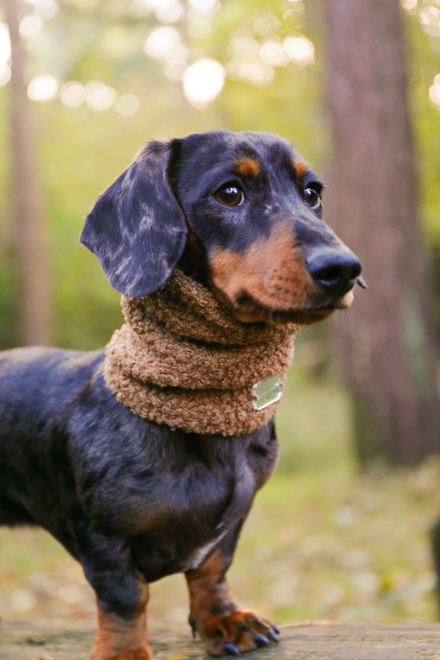 Caramel Borg Snood