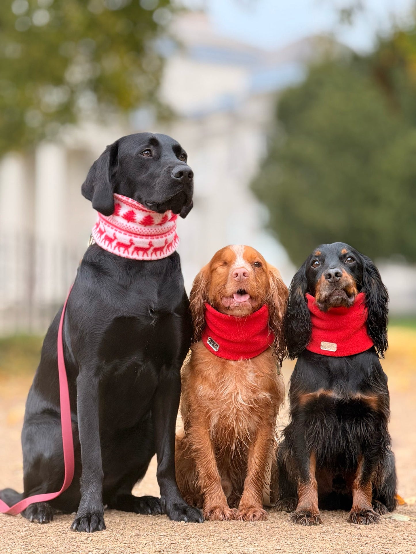 Red Nordic Fleece Snood