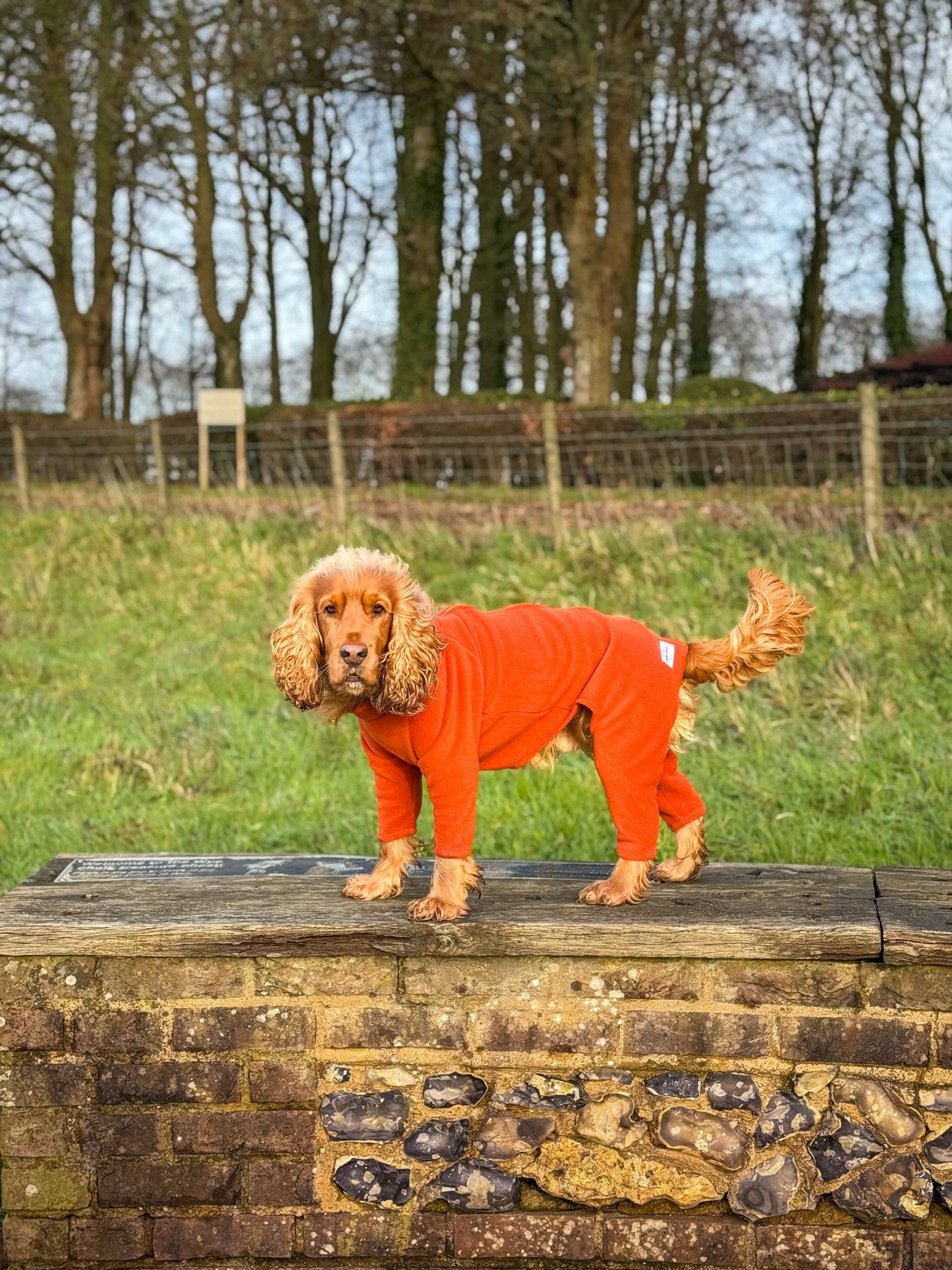 Rust 4 Leg Fleece Jumper