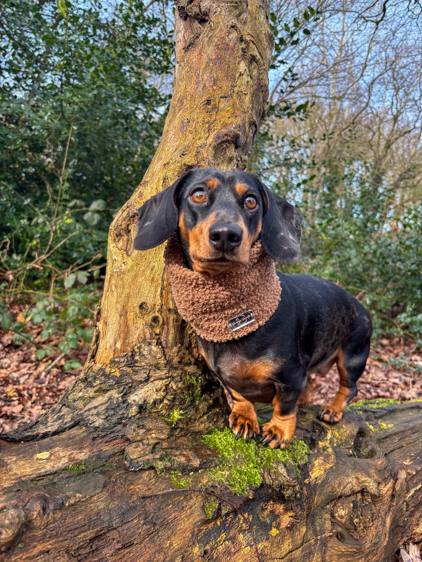 Caramel Borg Snood