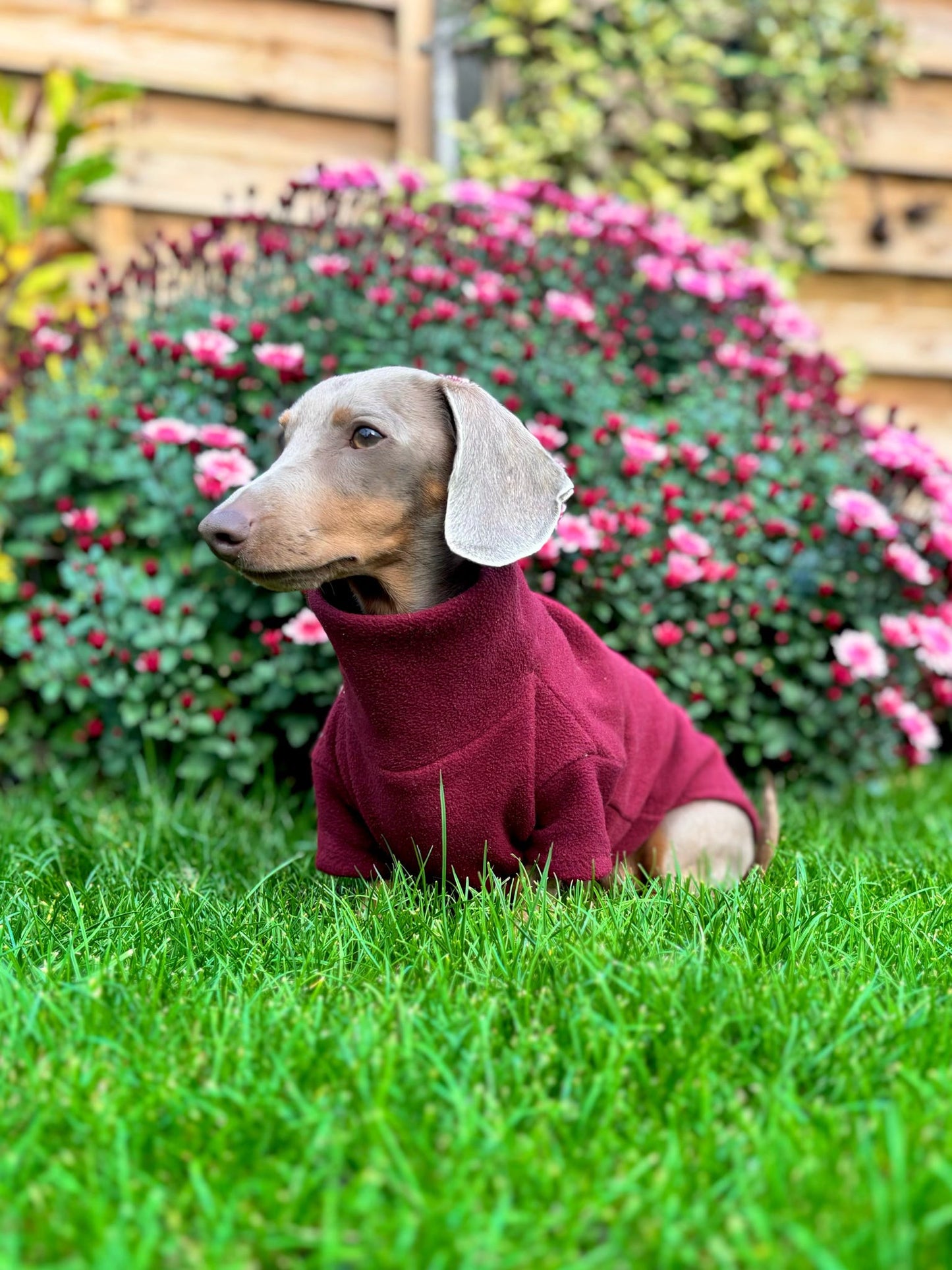 Wine Fleece Jumper