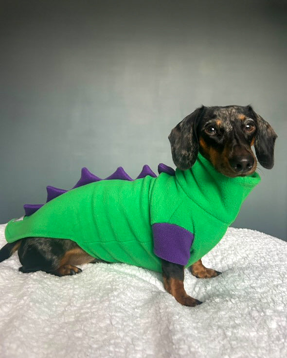 Jurassic Bark Fleece Jumper