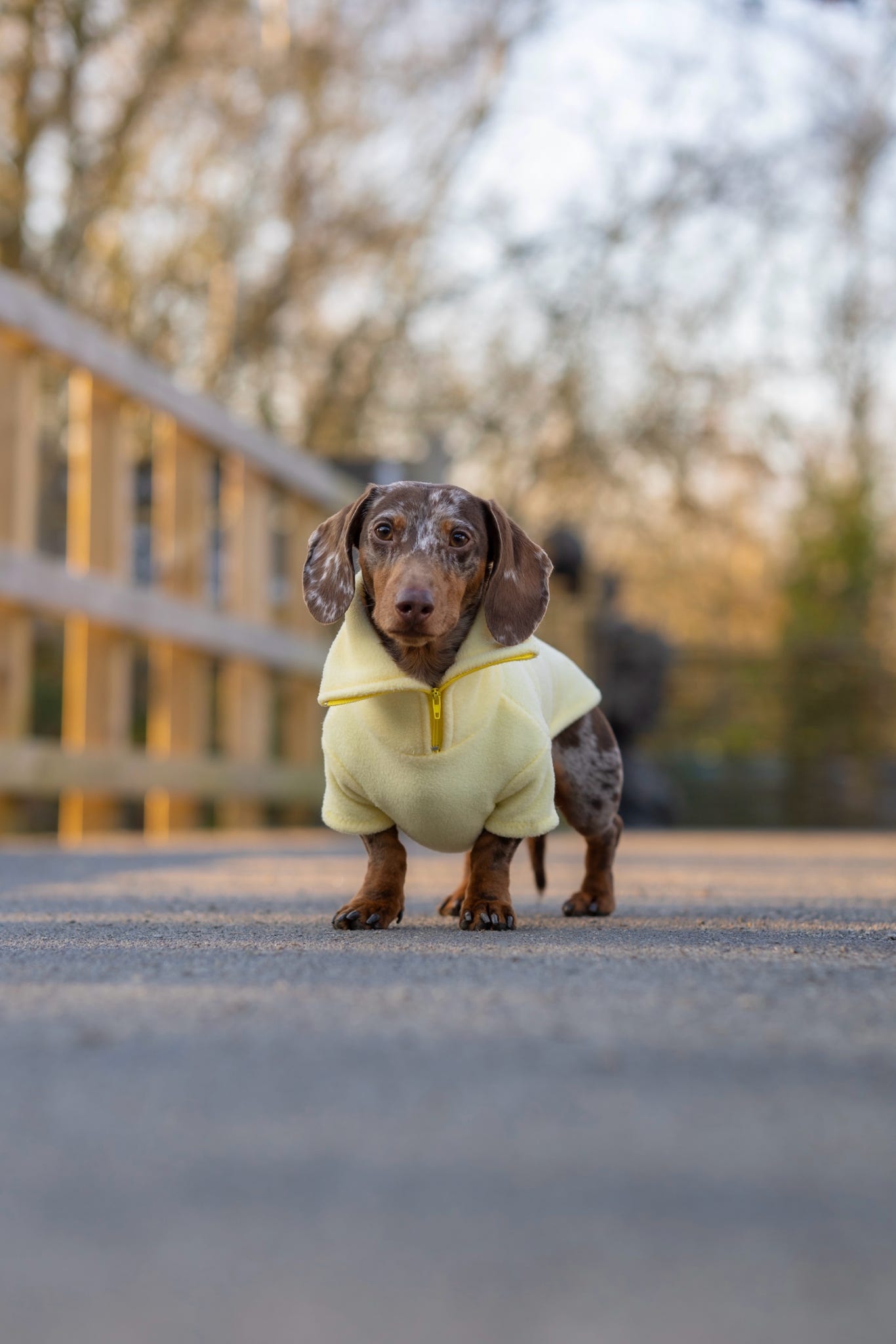 Lemon Fleece Jumper