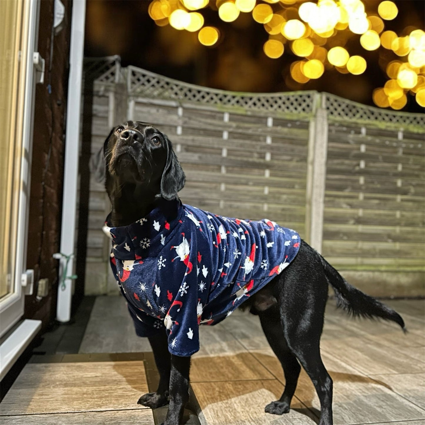 Christmas Gonk Jammies