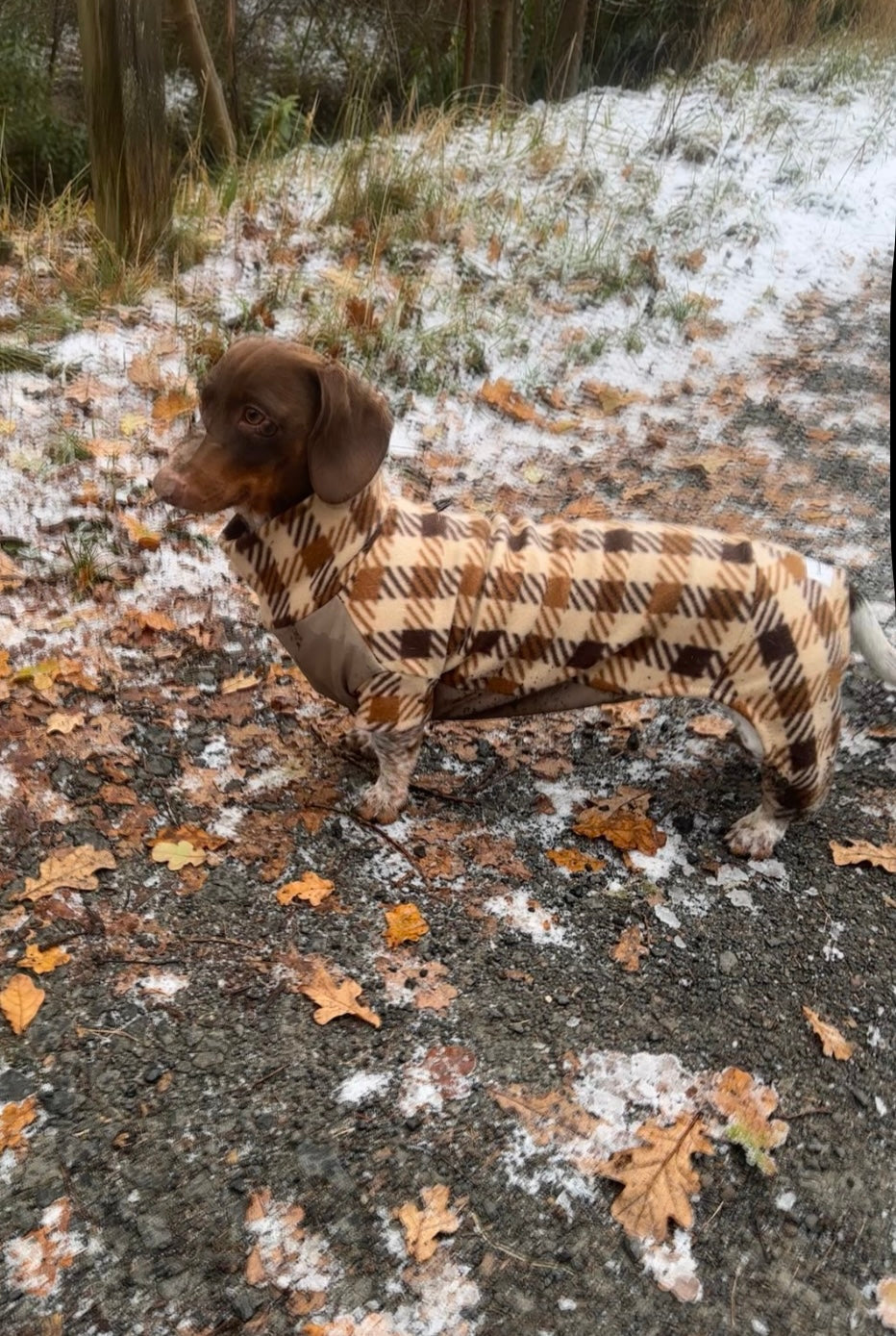 Brown Plaid 4 Leg Fleece Jumper