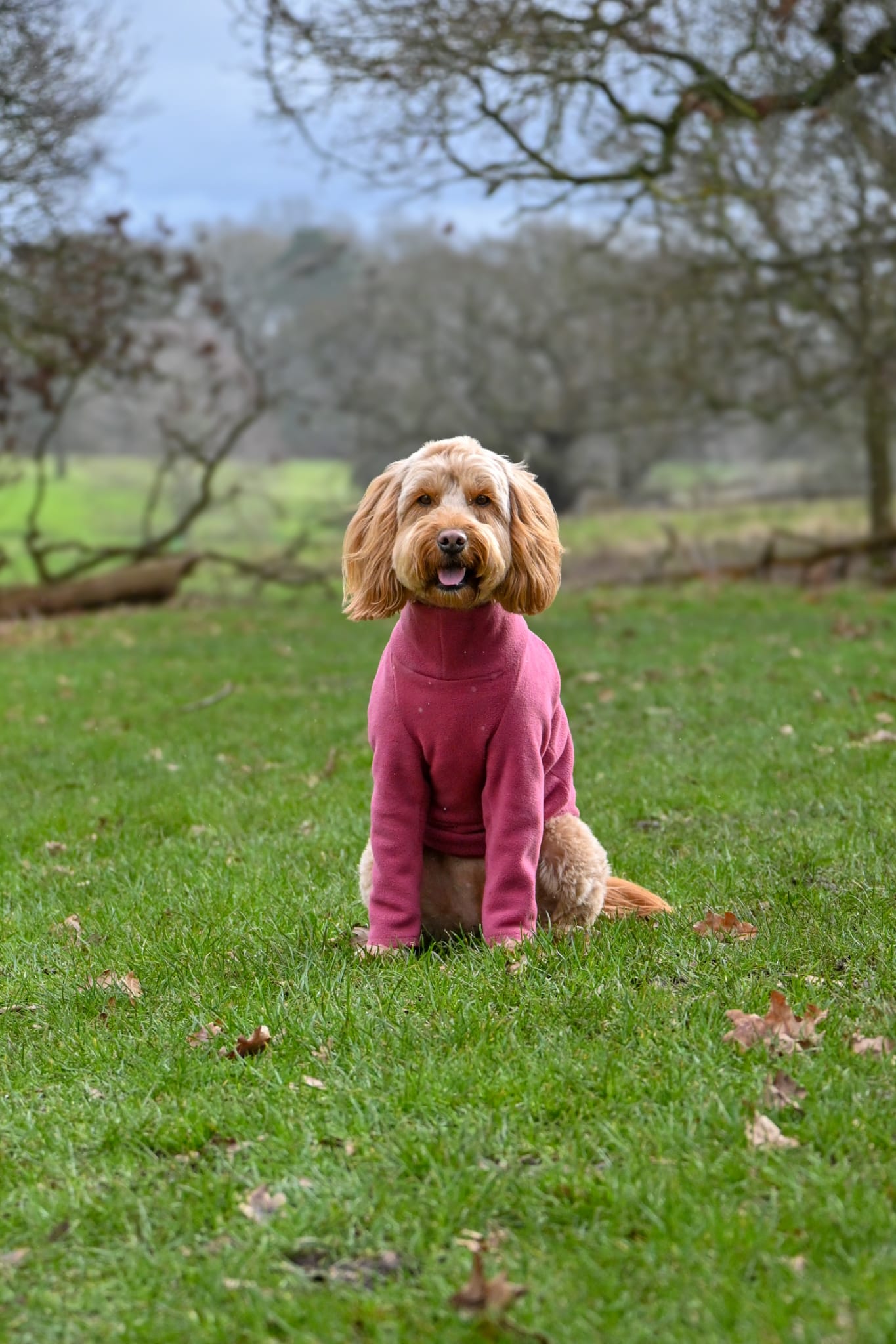Raspberry Fleece Jumper