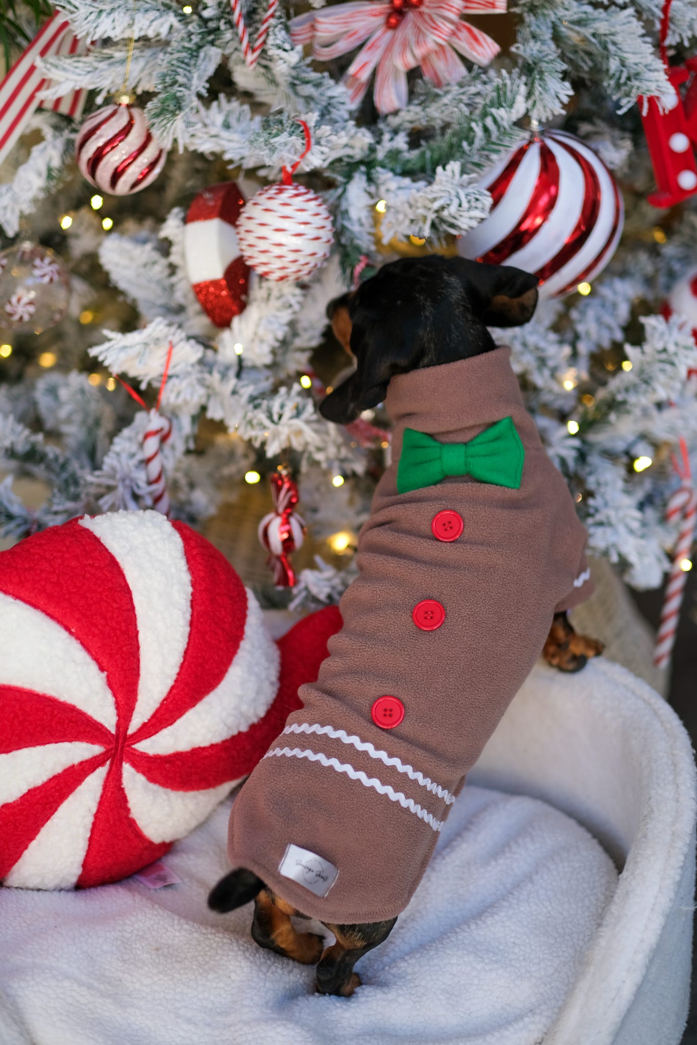Gingerbread Fleece Jumper