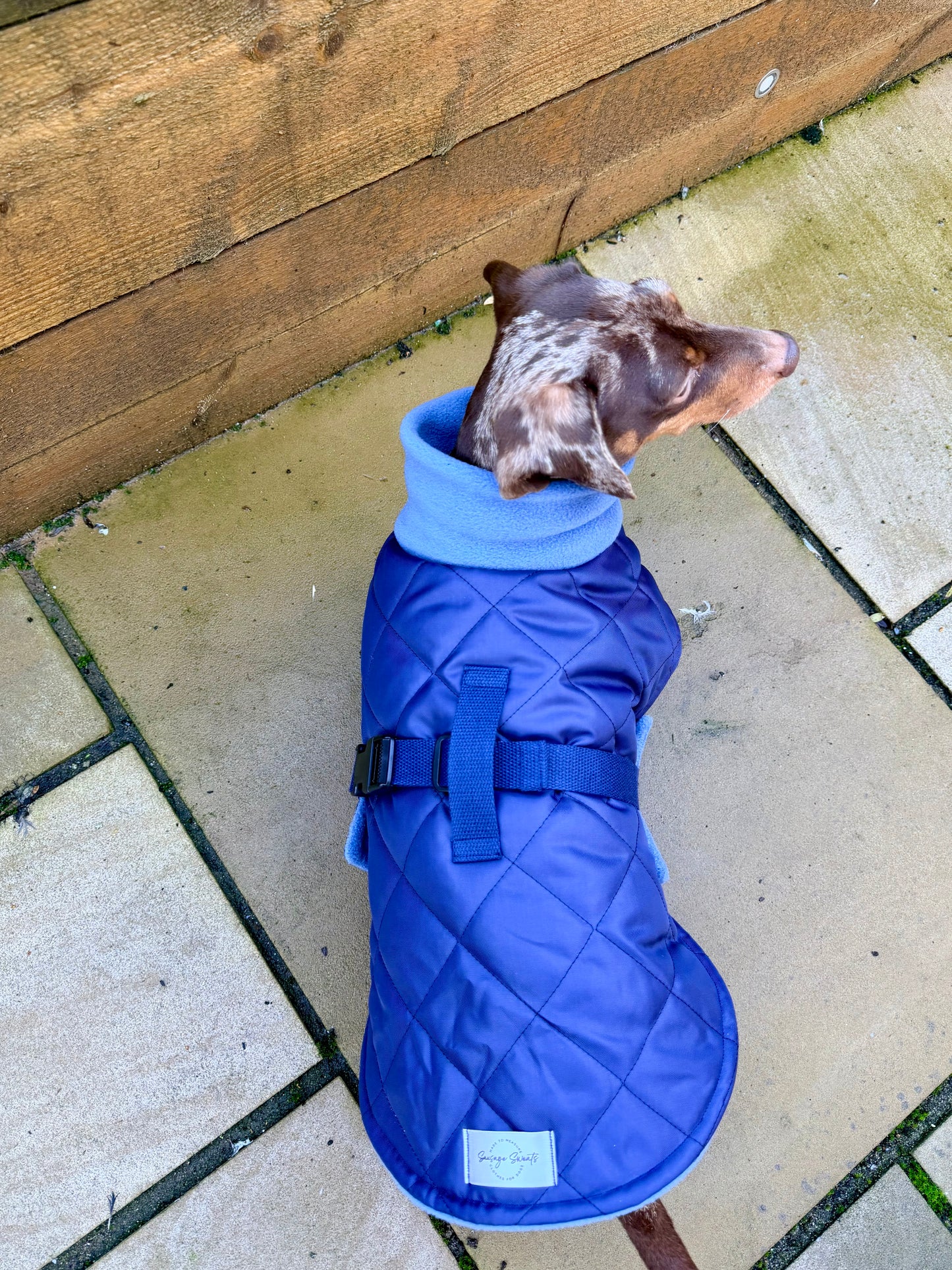 Light Grey Quilted Full Tummy Coat with Fleece Lining