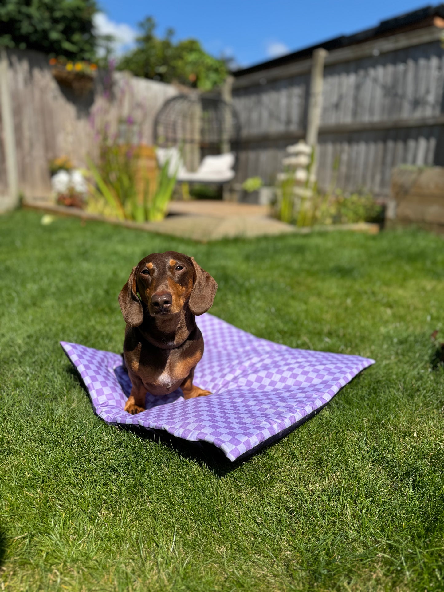 Parma Violet Pub & Picnic Mat