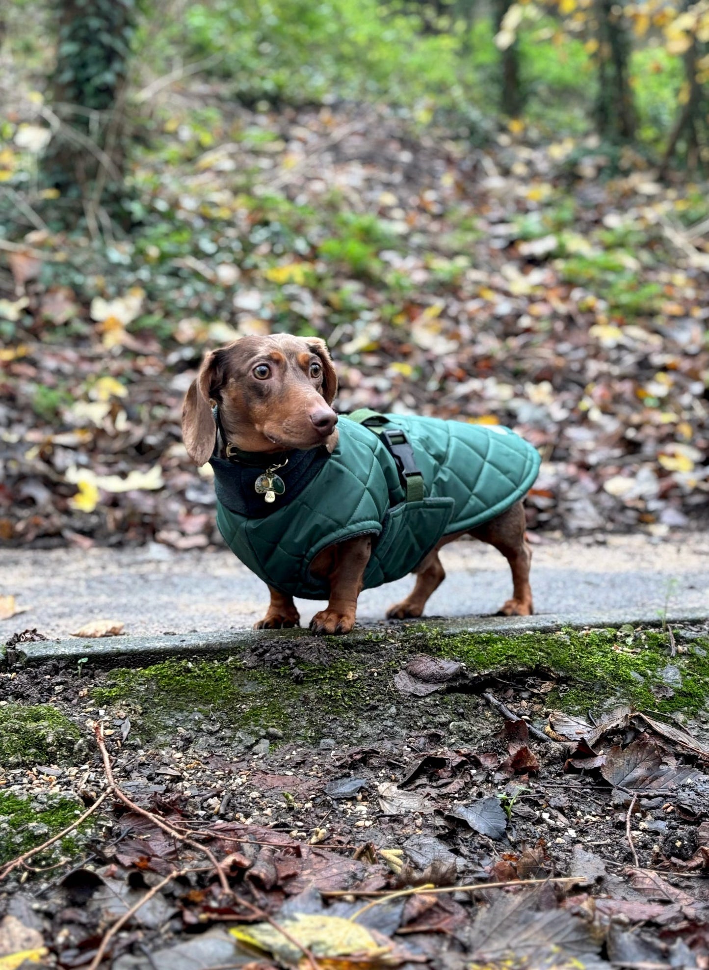 Bottle Green Quilted Full Tummy Coat with Fleece Lining