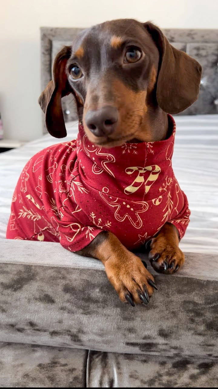 Christmas Gingerbread Man Cotton Jersey Jammies