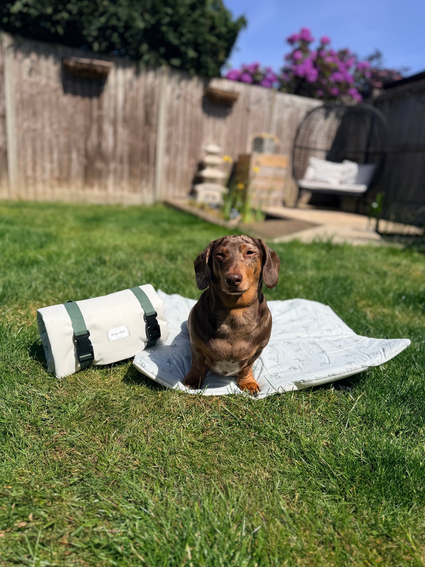 Sublime Sage & Cream Pub & Picnic Settle Mat