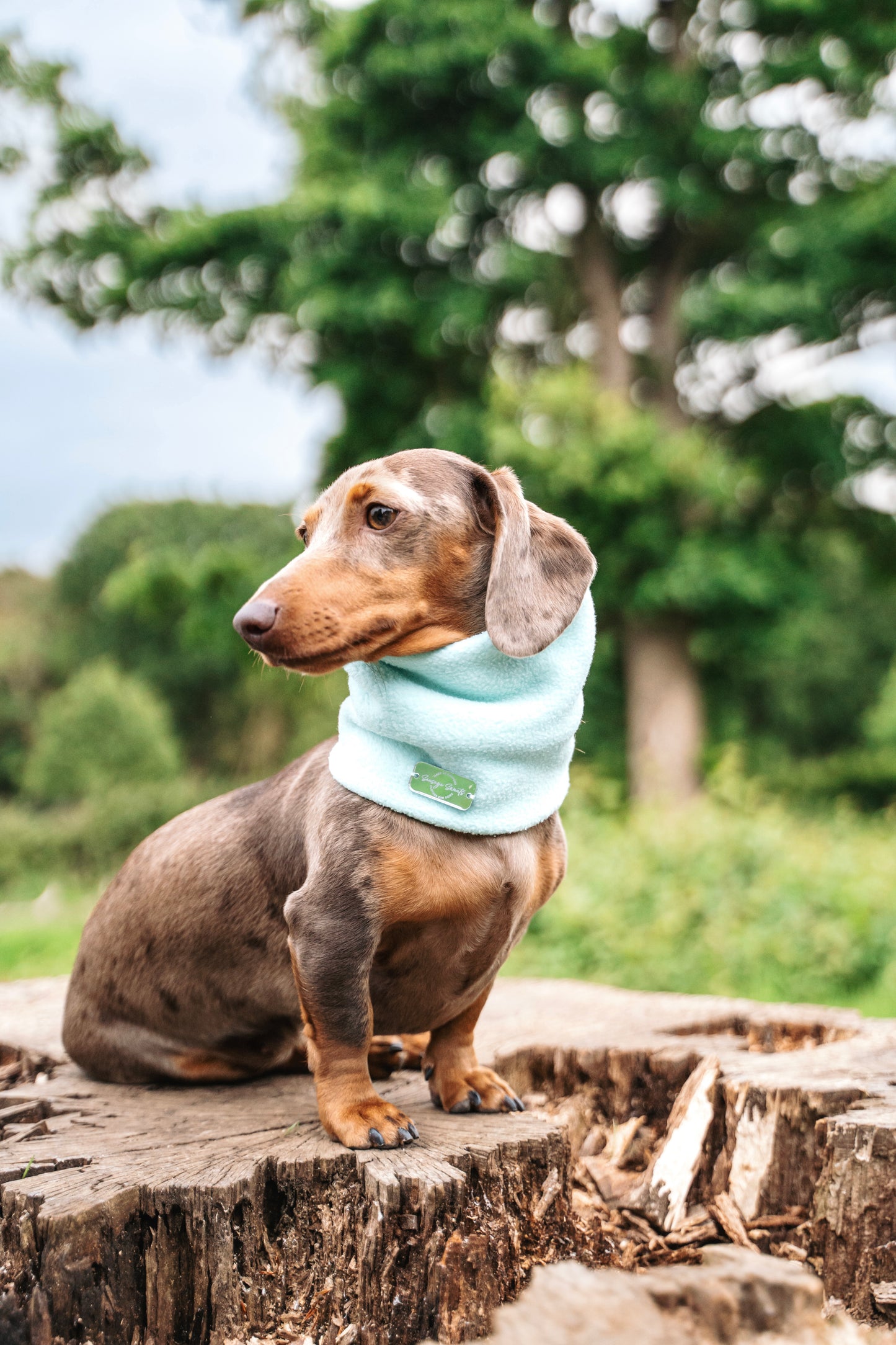 Mint Fleece Snood