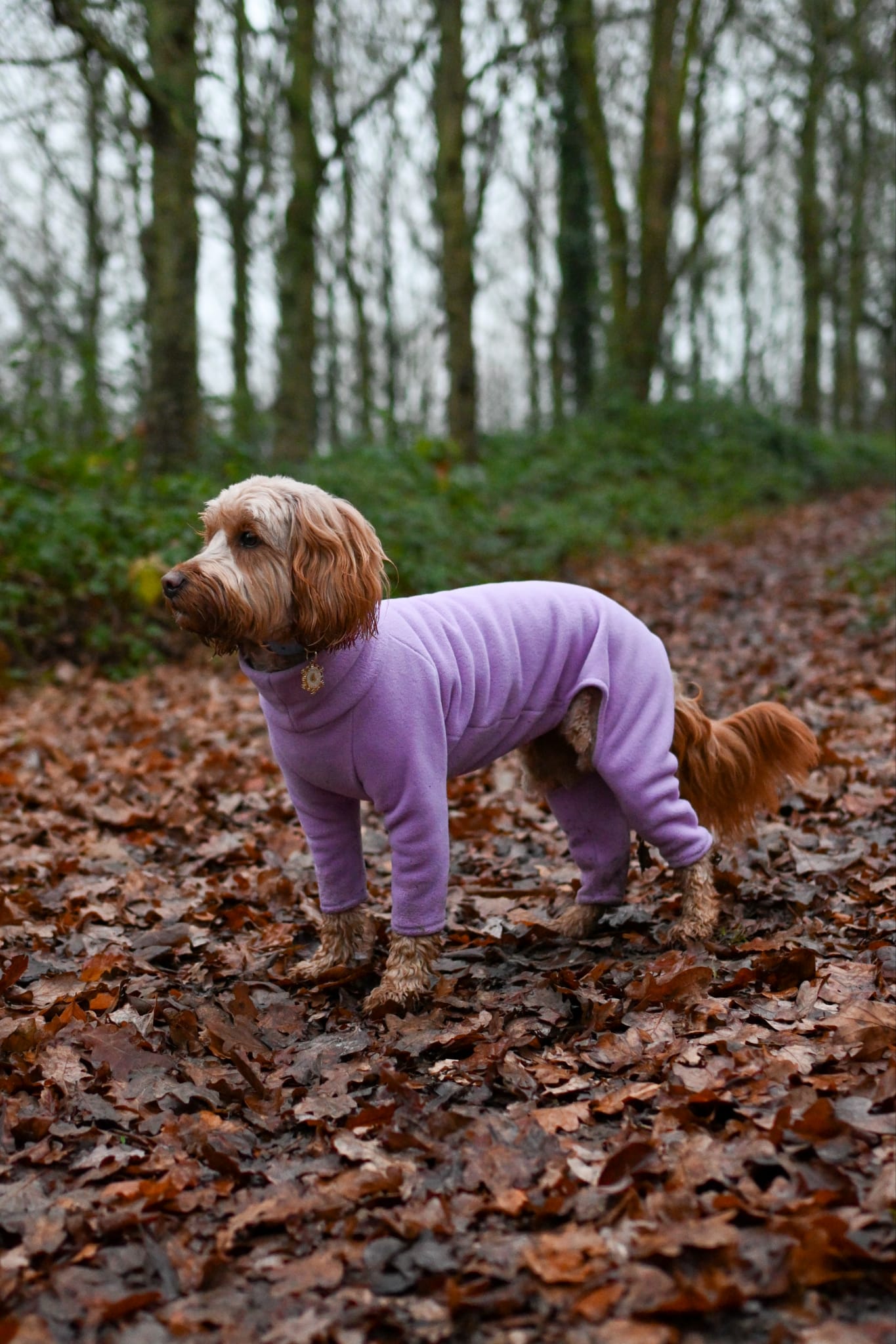 Lilac 4 Leg Fleece Jumper