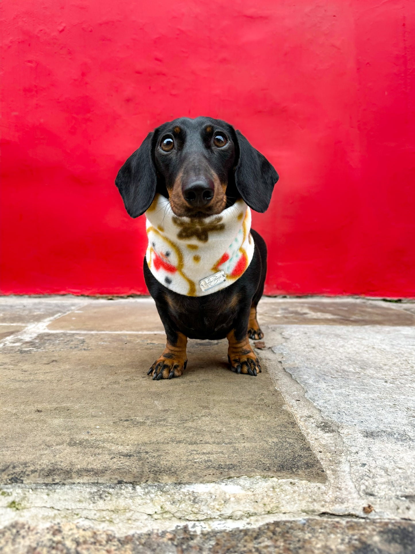 Gingerbread Christmas Fleece Snood