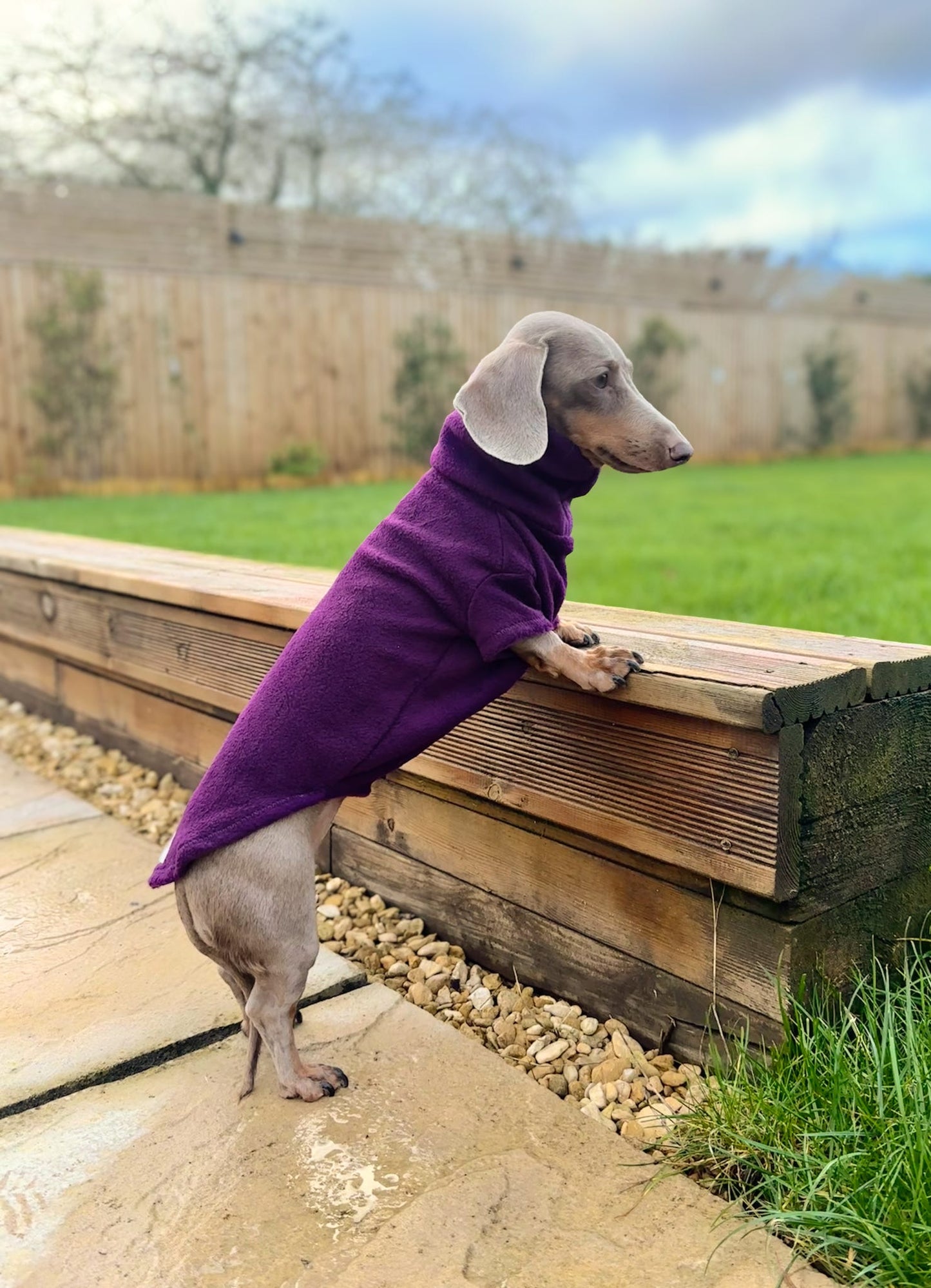 Plum Fleece Jumper