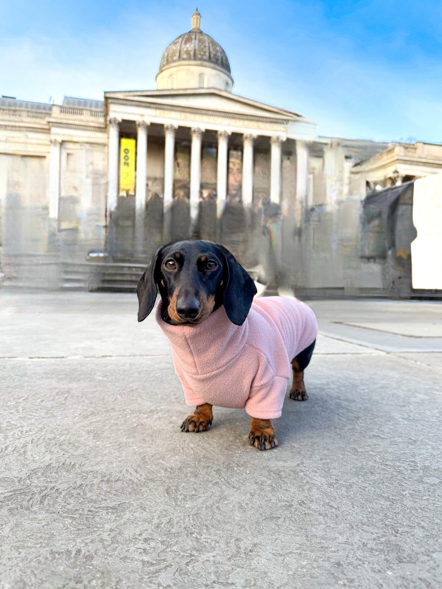 Blossom Fleece Jumper