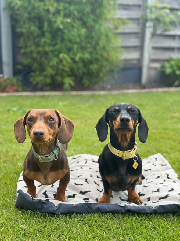 Dachshund Pub & Picnic Settle Mat