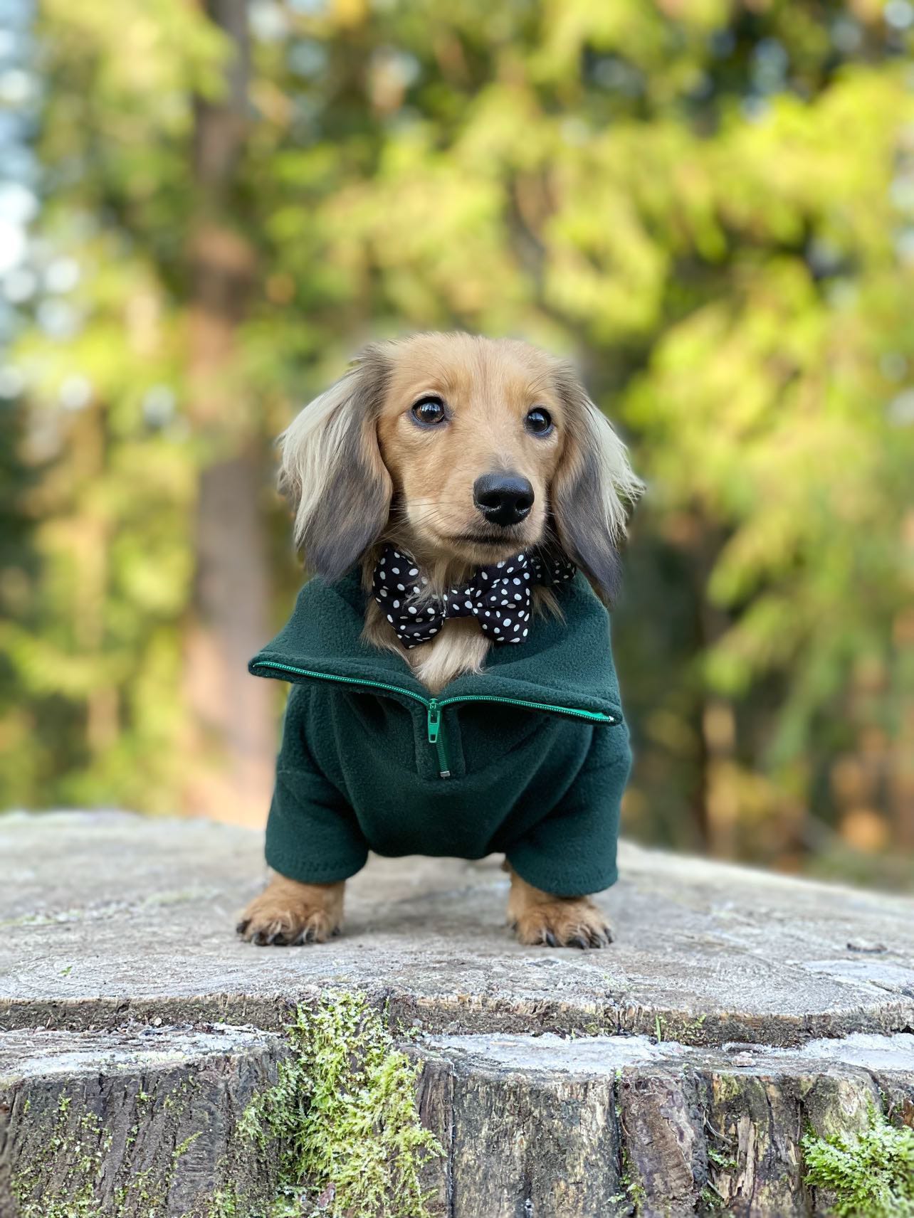 Dark Green Quarter Zip Fleece Jumper