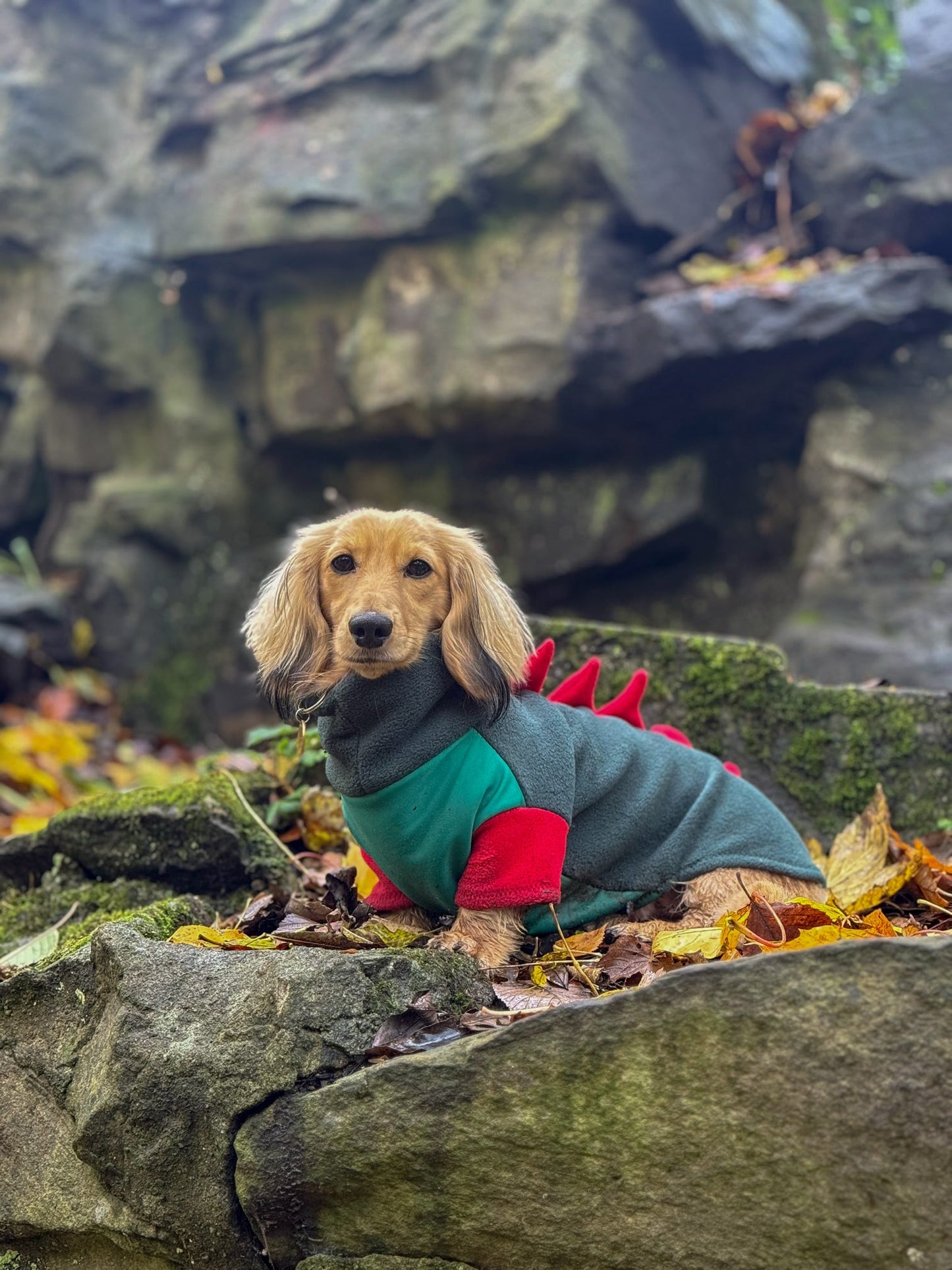 Jurassic Bark Fleece Jumper