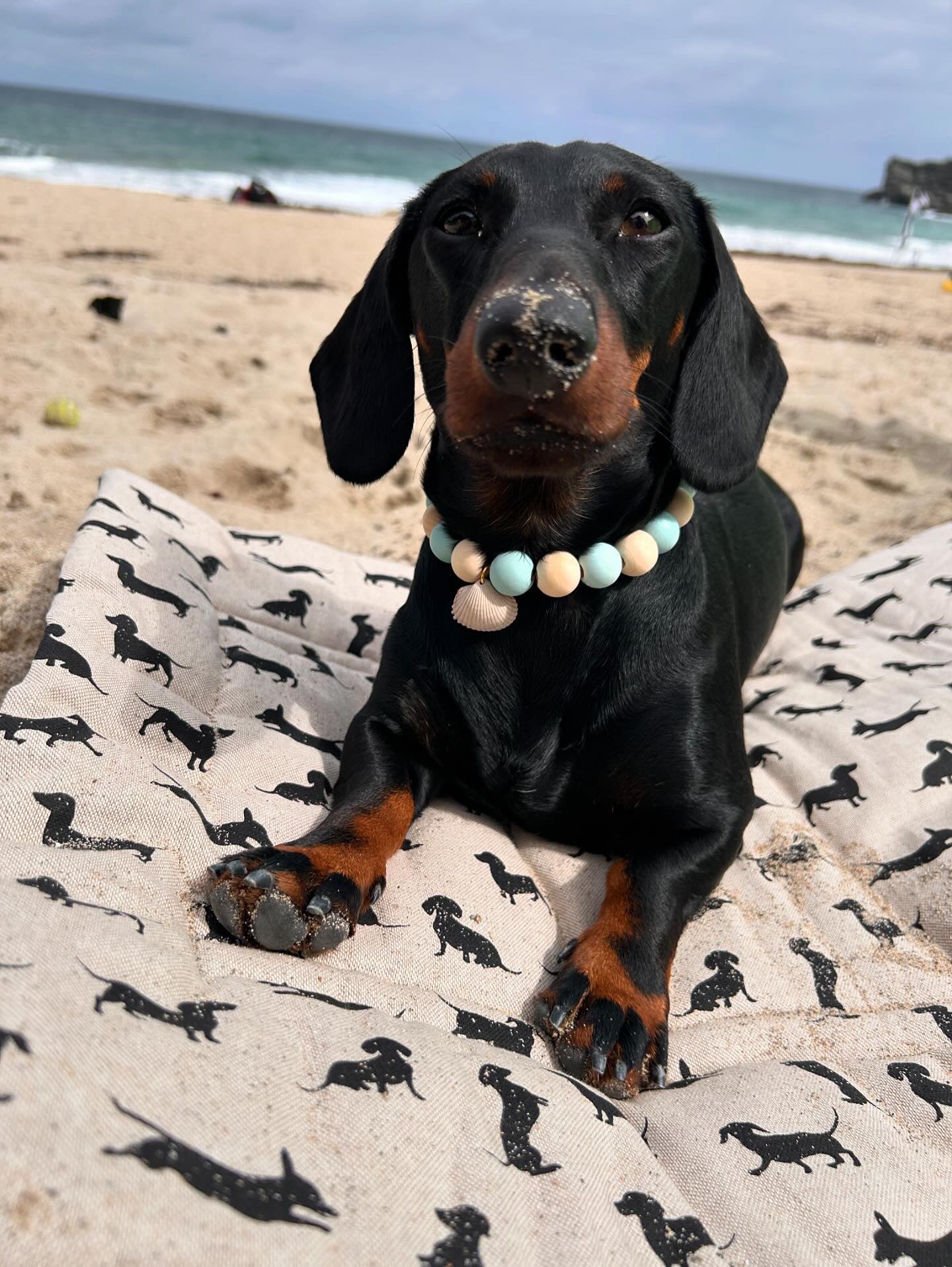 Dachshund Pub & Picnic Settle Mat