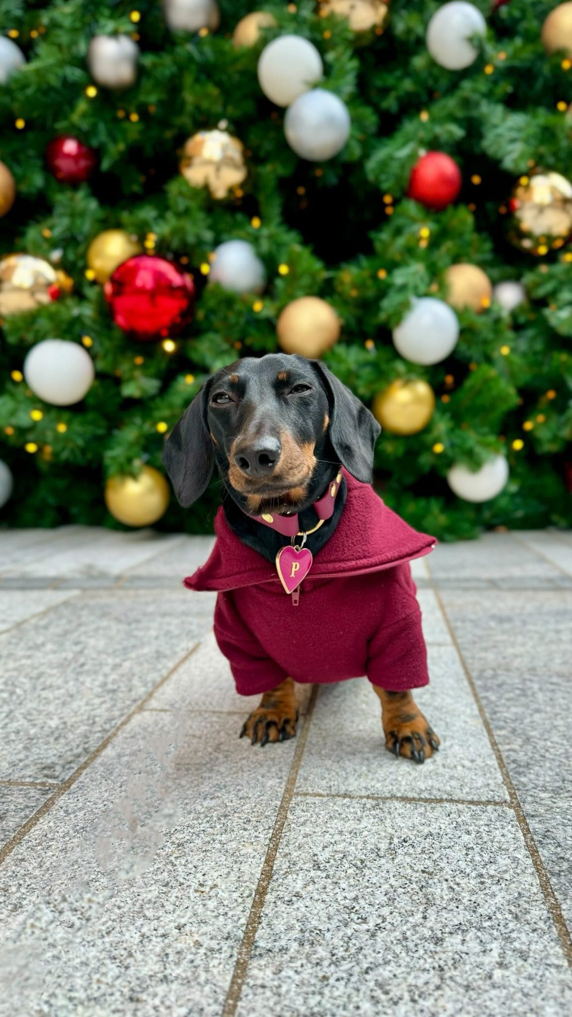 Wine Quarter Zip Fleece Jumper