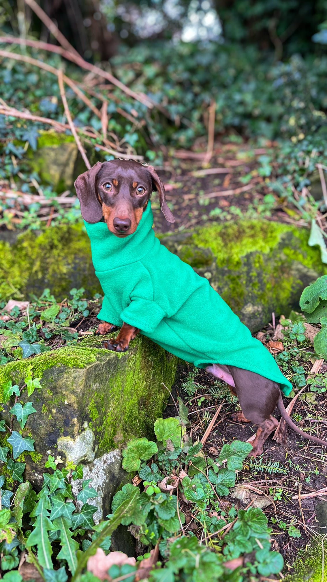 Emerald Fleece Jumper