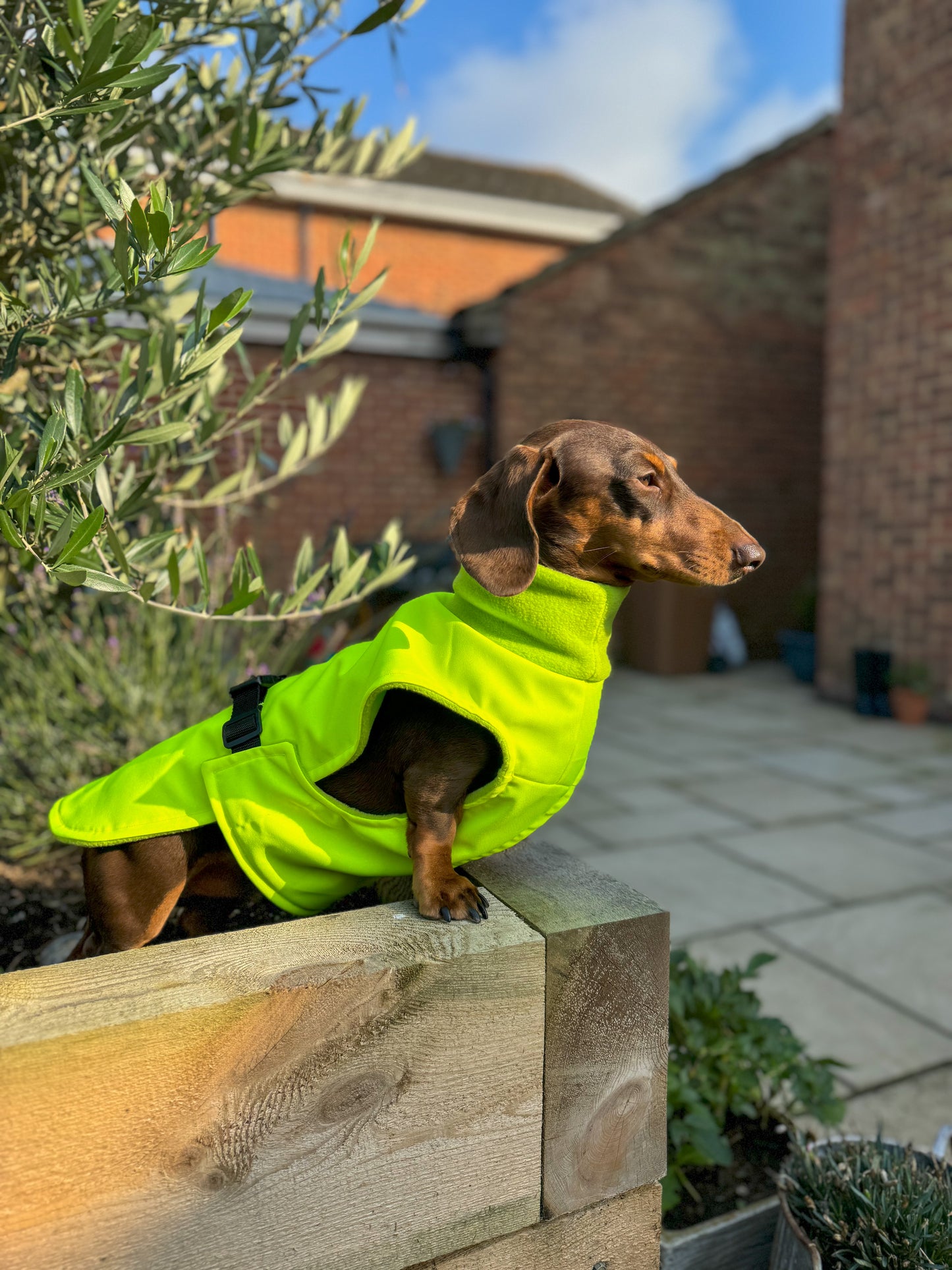 Floresant Yellow Full Tummy Waterproof Jacket with Fleece Lining