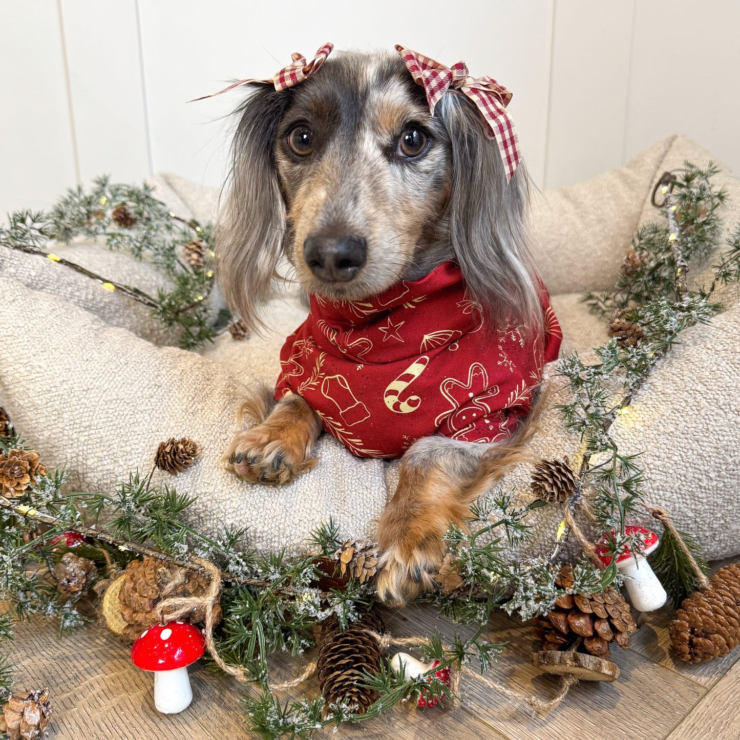Christmas Gingerbread Man Cotton Jersey Jammies