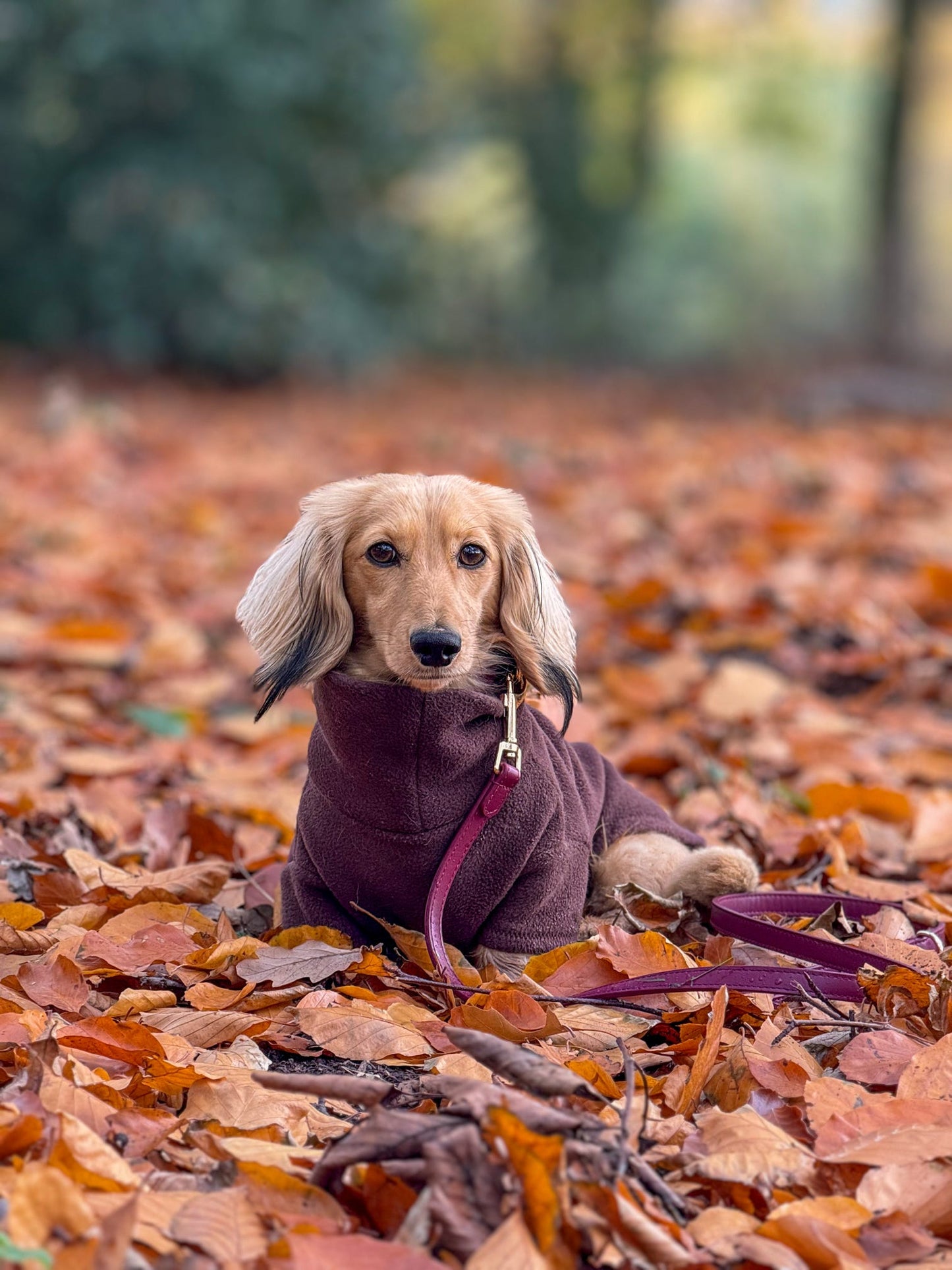 Chocolate Fleece Jumper