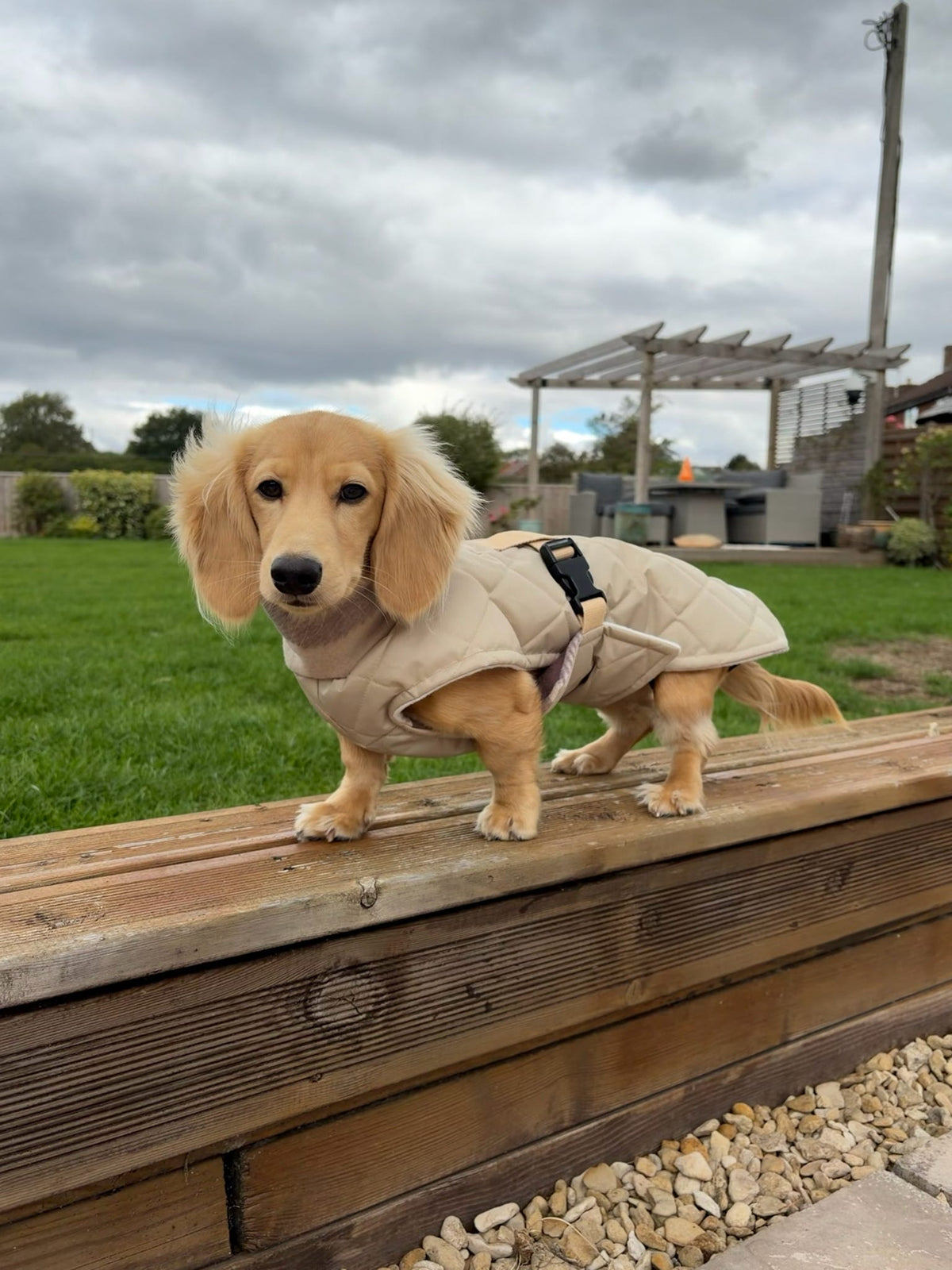 Latte Quilted Full Tummy Coat with Fleece Lining