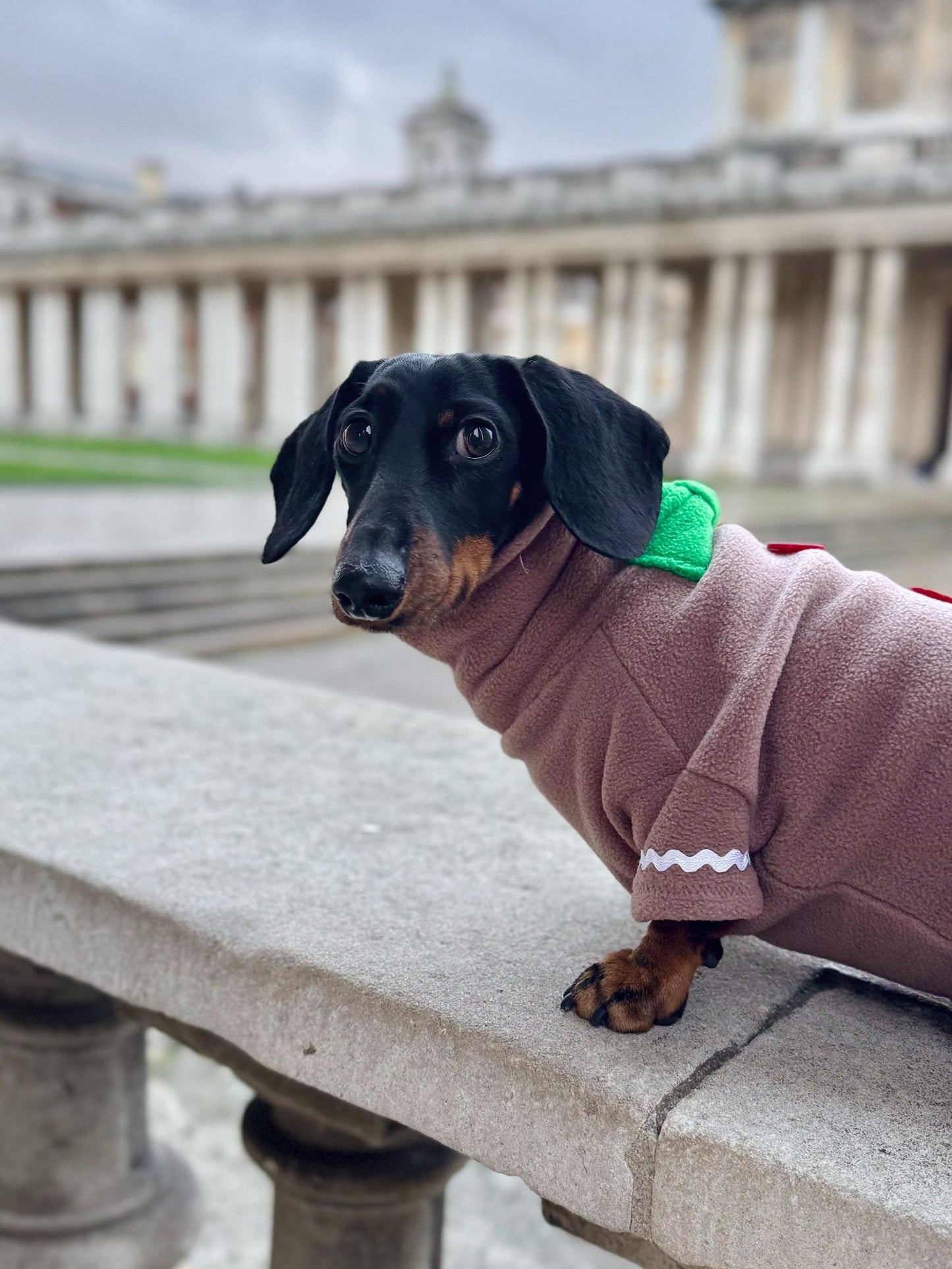 Gingerbread Fleece Jumper