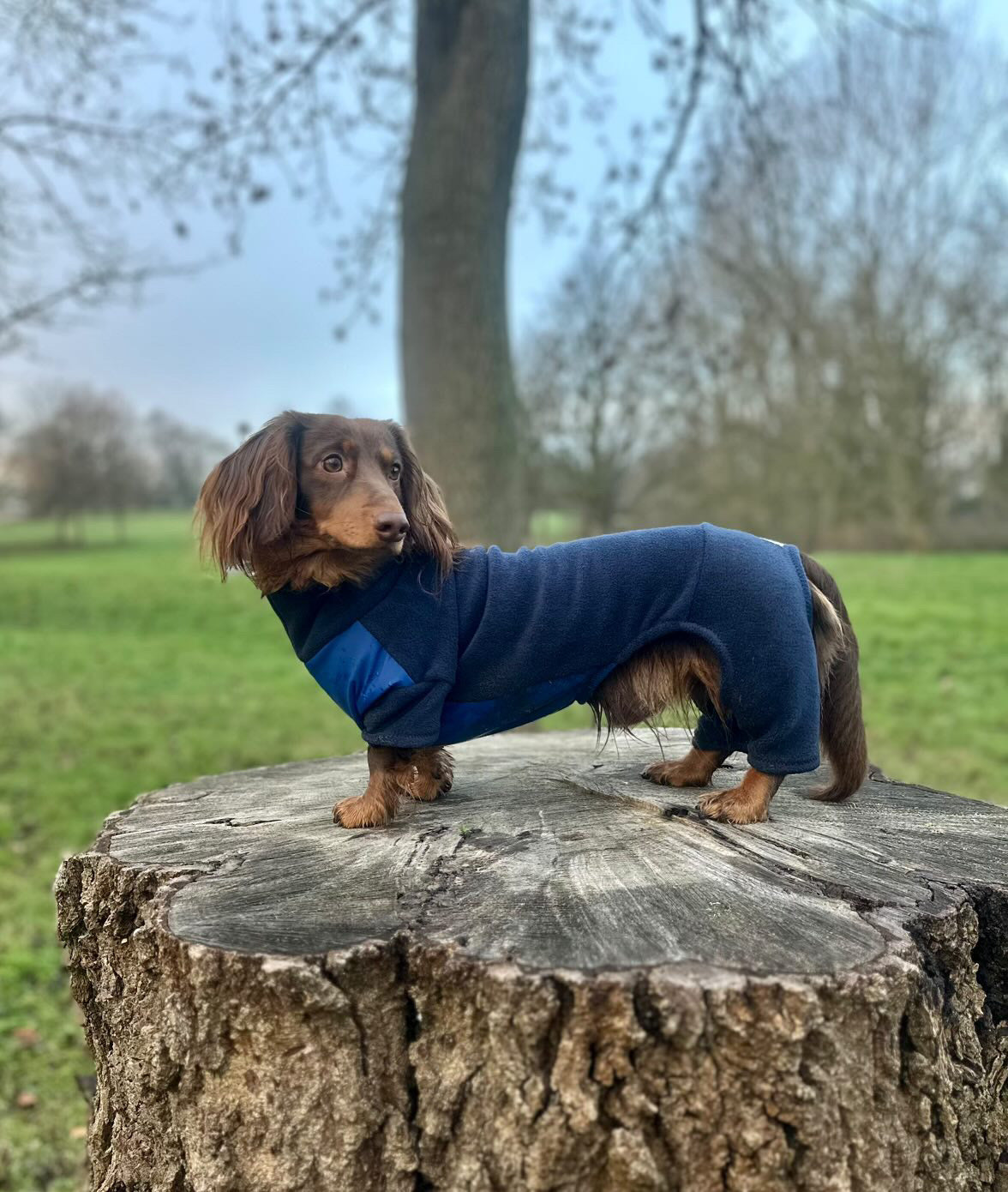 Navy 4 Leg Fleece Jumper