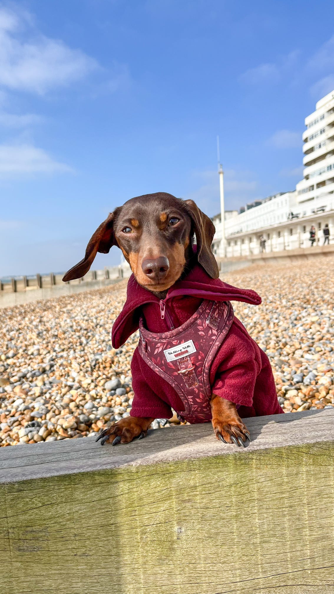 Wine Quarter Zip Fleece Jumper