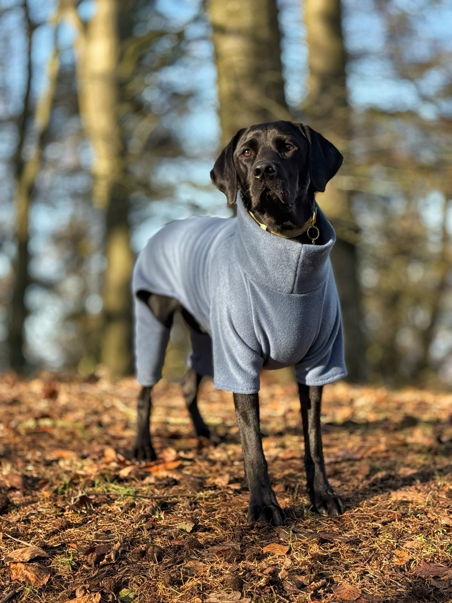 Denim 4 Leg Fleece Jumper