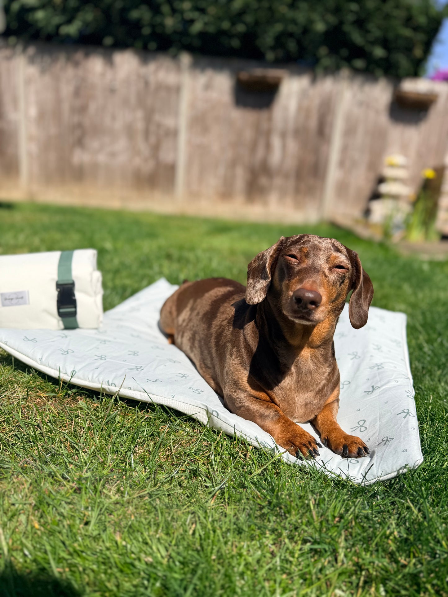 Sublime Sage & Cream Pub & Picnic Settle Mat