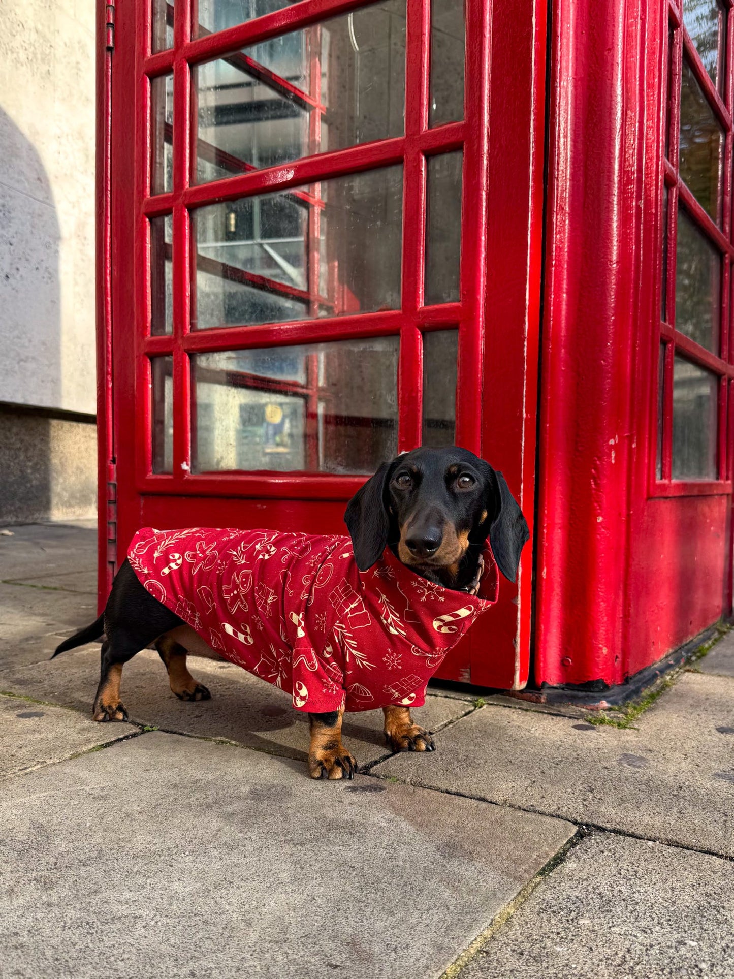 Christmas Gingerbread Man Cotton Jersey Jammies