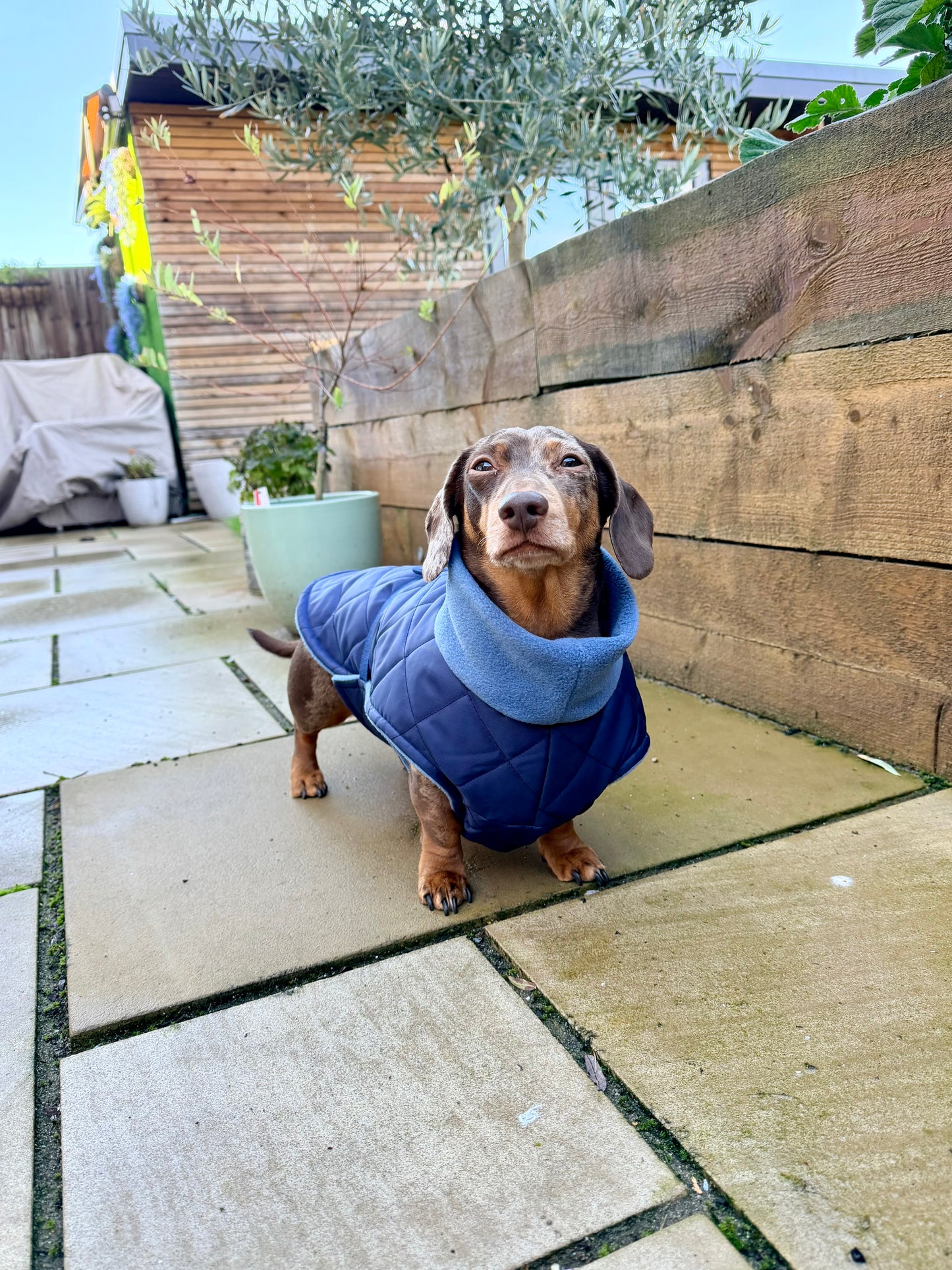 Light Grey Quilted Full Tummy Coat with Fleece Lining