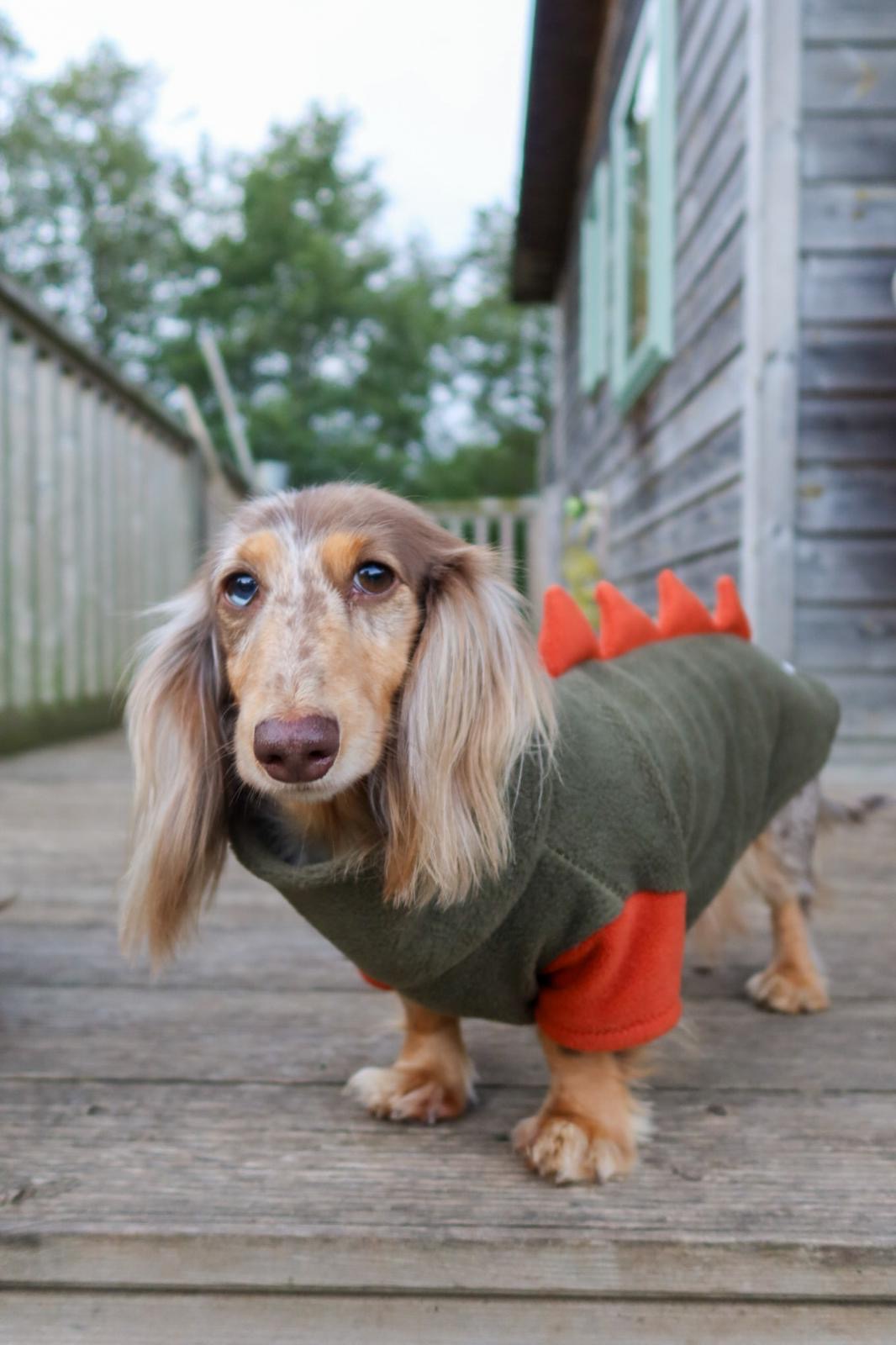 Jurassic Bark Fleece Jumper