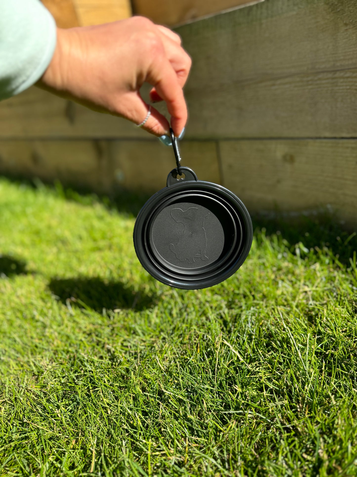 Black Foldable Water Bowl